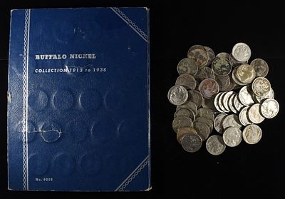 BUFFALO NICKEL COLLECTION. INCLUDING (113) BUFFALO NICKELS ESTIMATE $80 - $120.