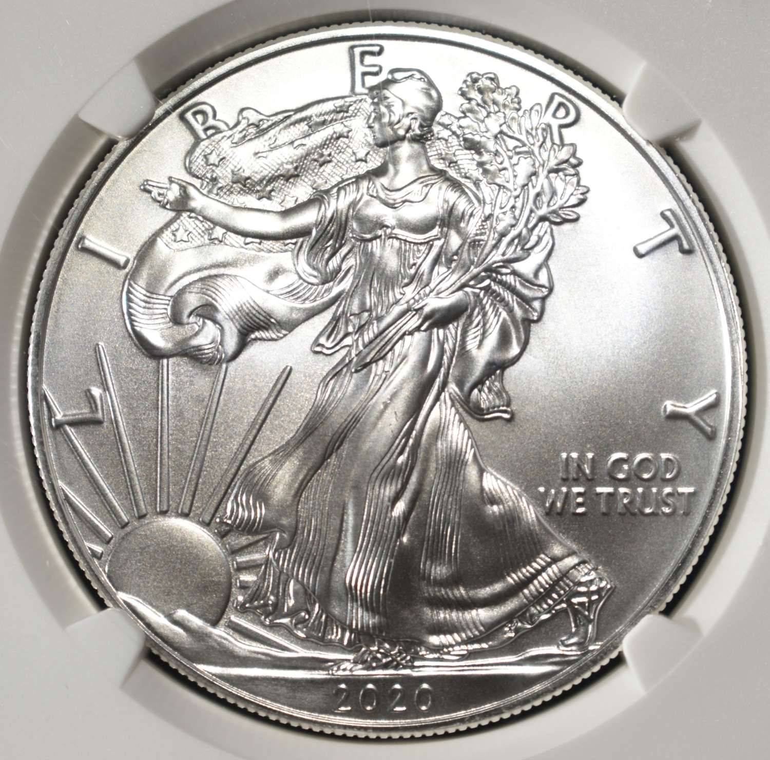 2020 (P) AMERICAN SILVER EAGLE NGC MS69