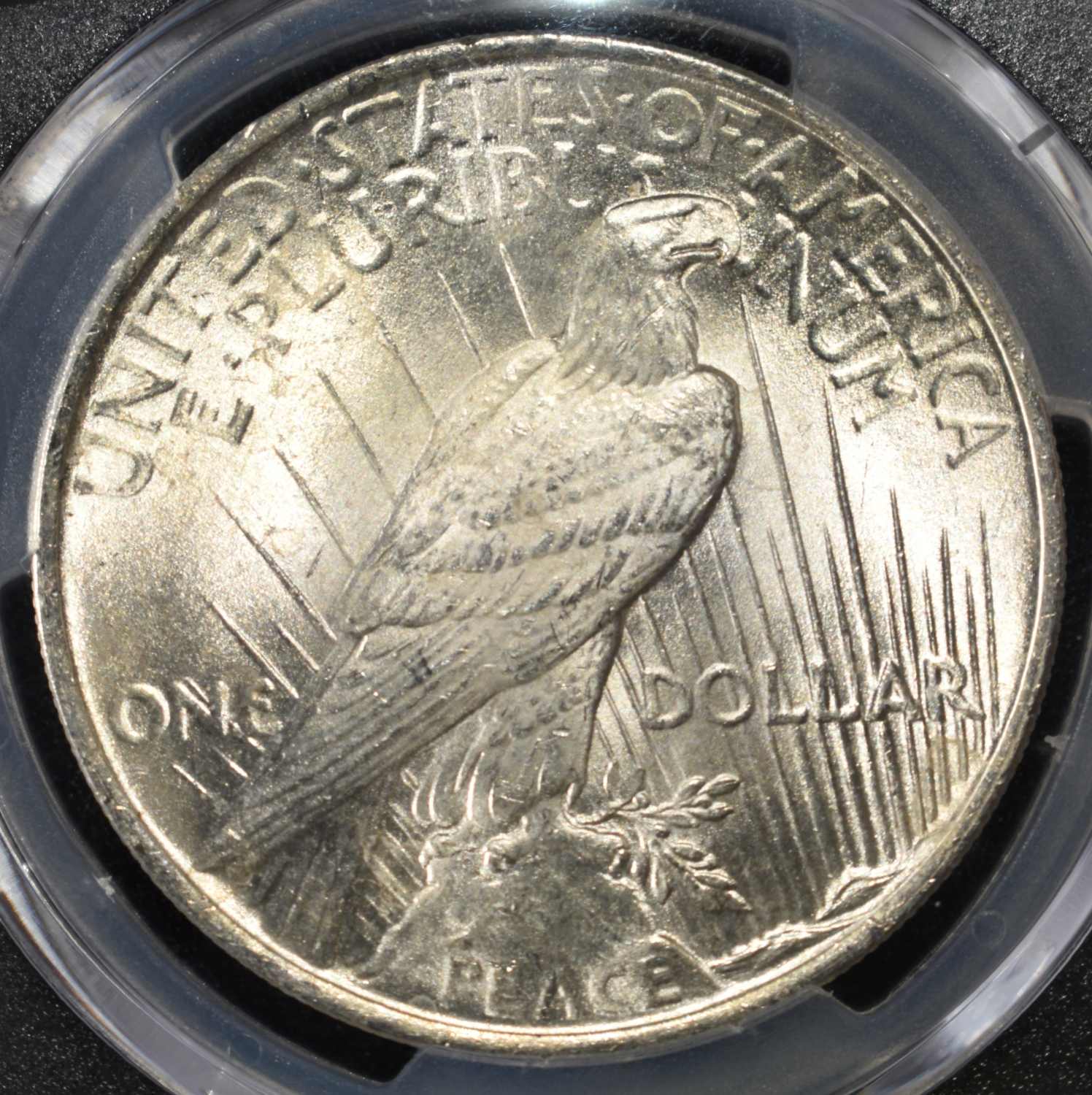 1923 PEACE DOLLAR PCGS MS63