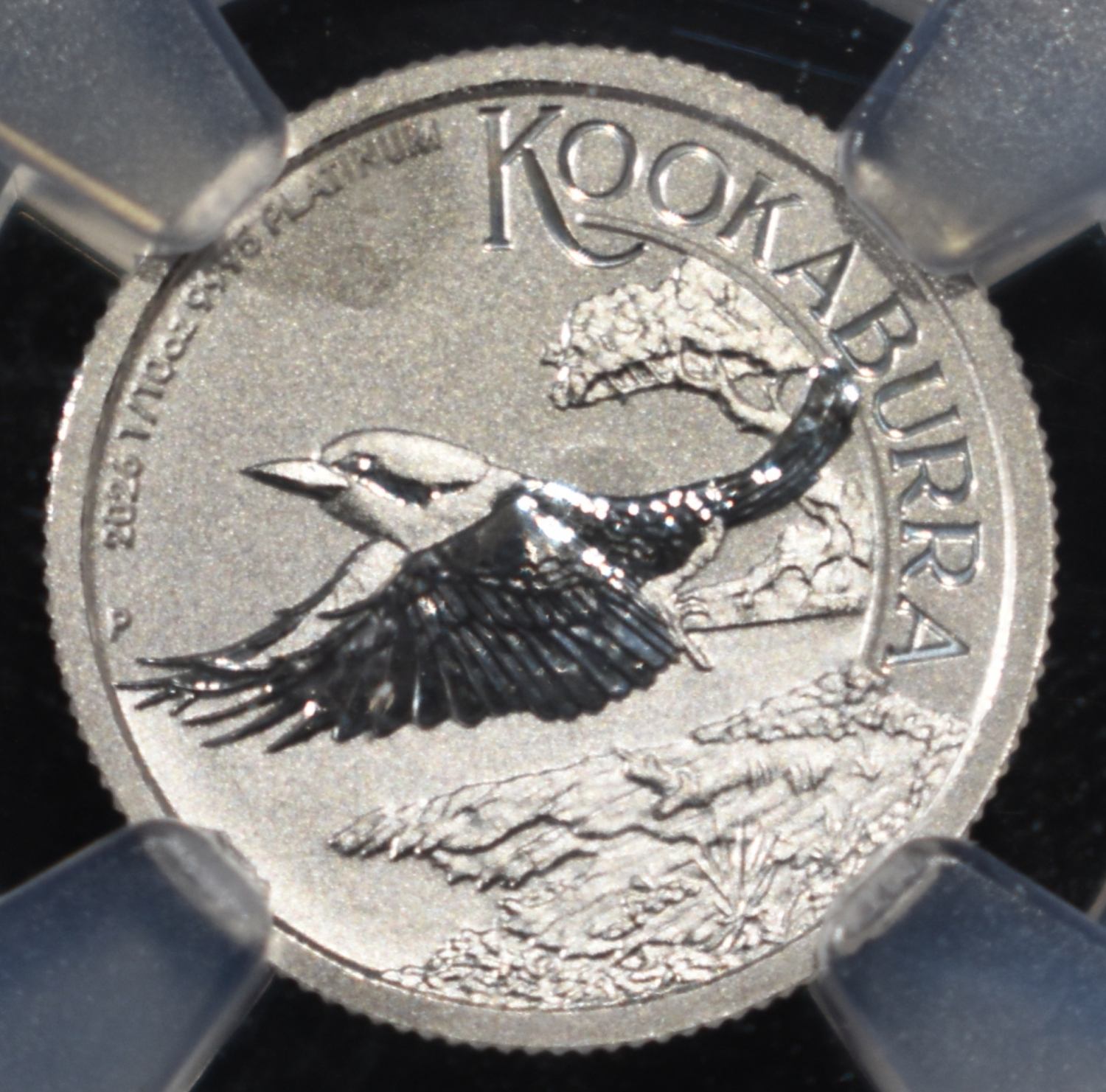 2026-P AUSTRALIA PLATNIUM NGC MS70