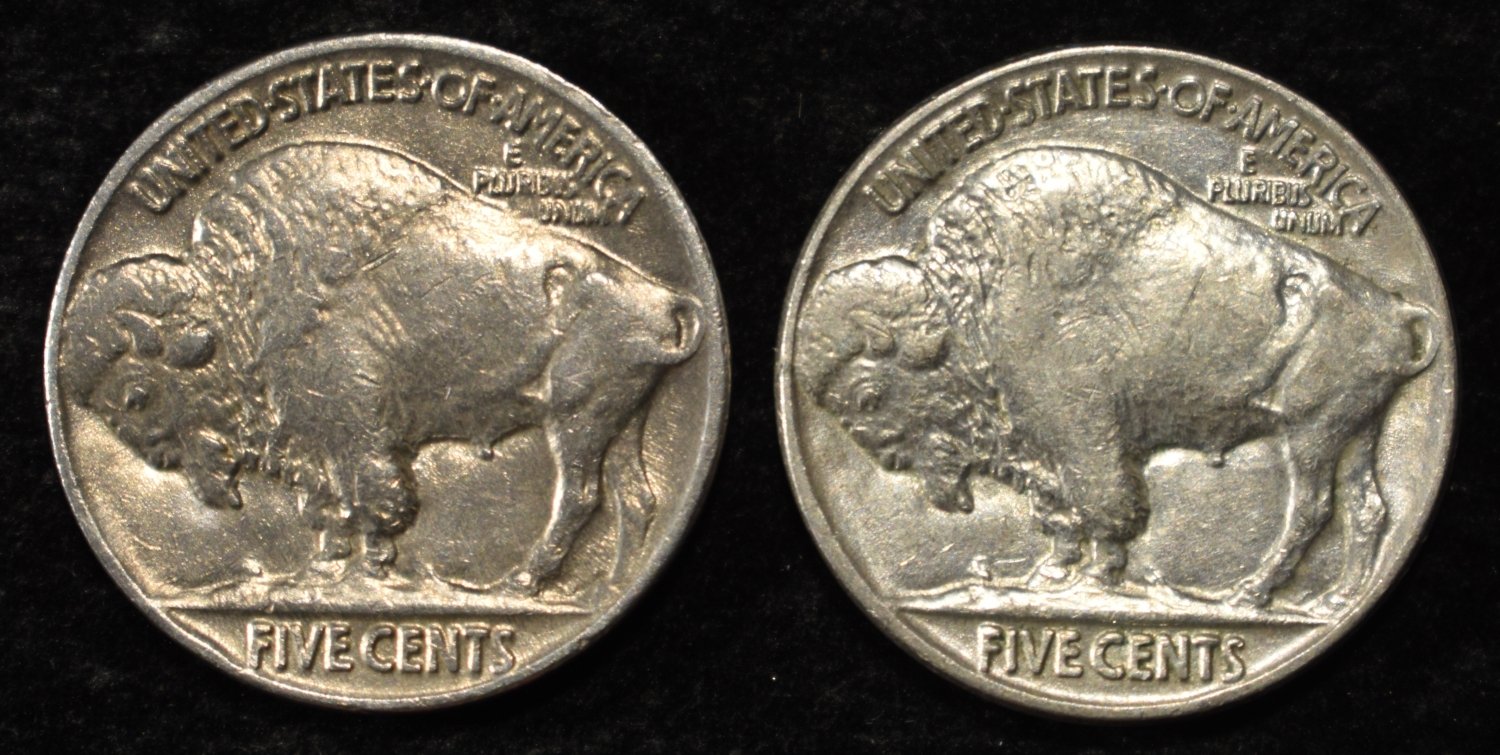 24 BUFFALO NICKELS