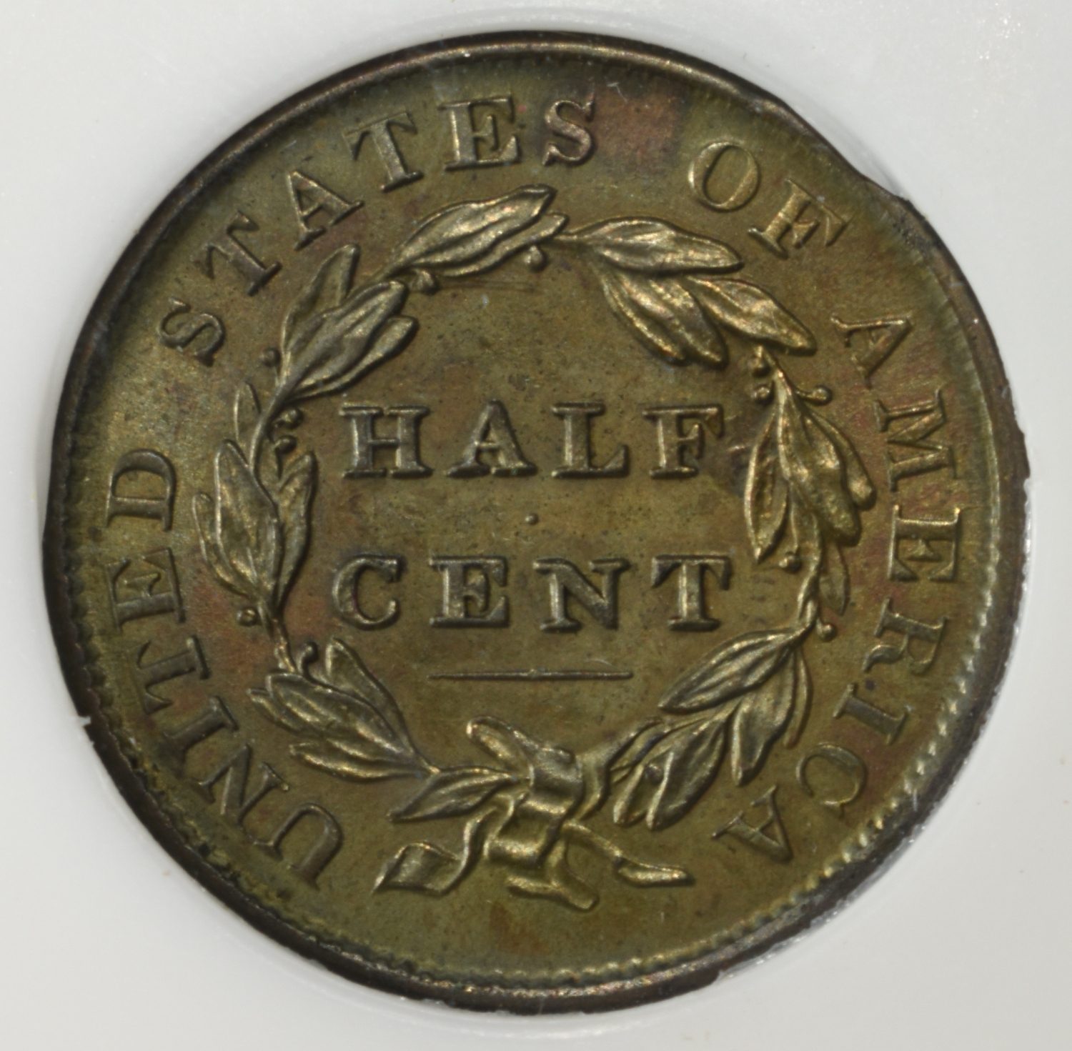 1835 CLASSIC HEAD HALF CENT PCI SUPERB GEM BU BN