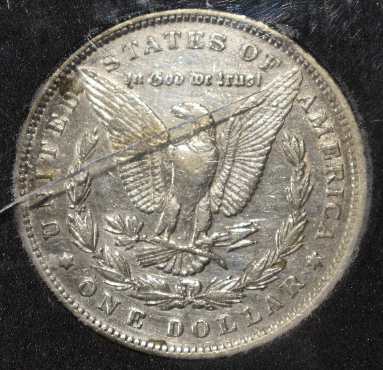 1891 MORGAN DOLLAR XF