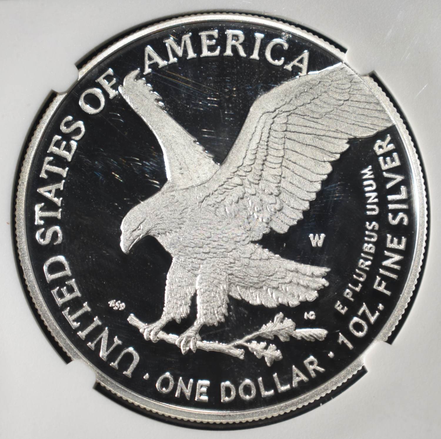 2025-W AMERICAN SILVER EAGLE FUN NGC PF70 UCAM