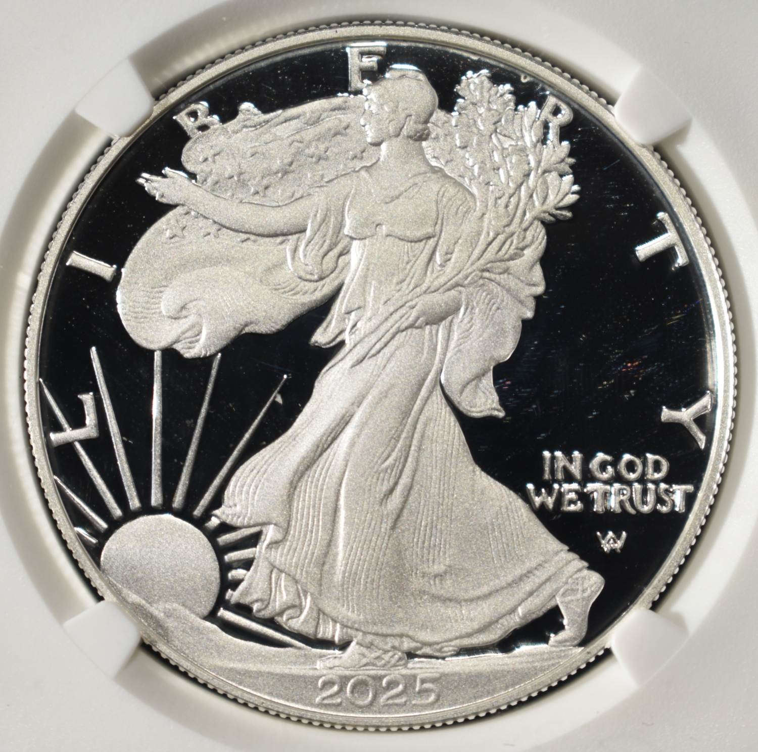 2025-S AMERICAN SILVER EAGLE NGC PF70 UCAM