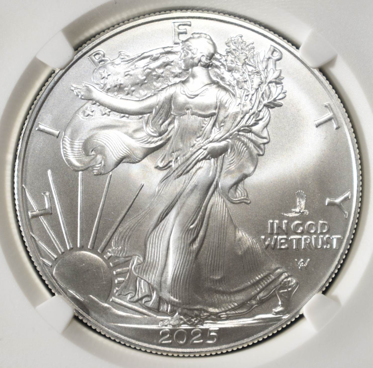 2025 (P) AMERICAN SILVER EAGLE NGC MS70 EP FDI