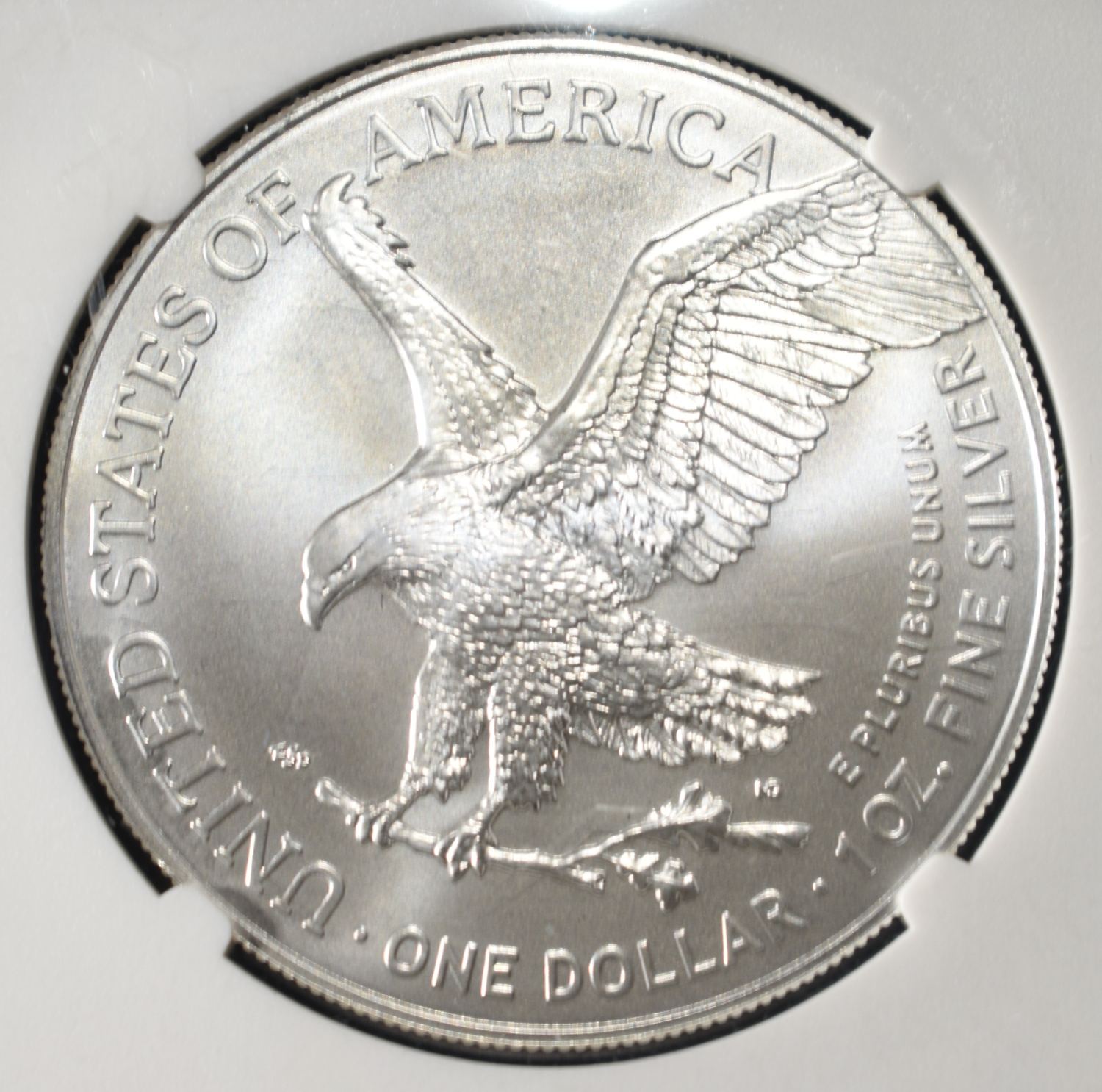 2025 (P) AMERICAN SILVER EAGLE NGC MS70 EP FDI