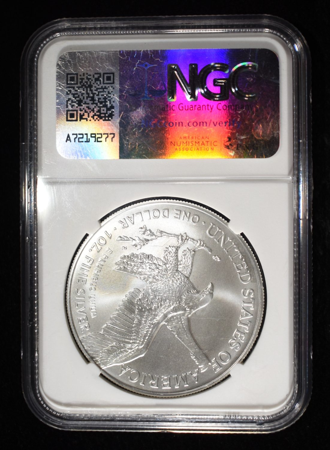 2025 (P) AMERICAN SILVER EAGLE NGC MS70 EP FDI