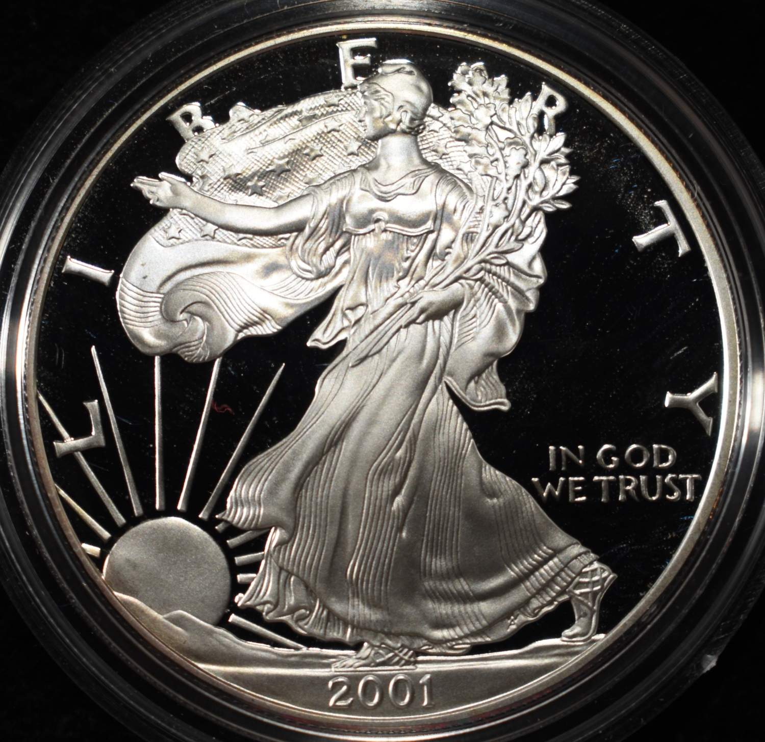 2001-W AMERICAN SILVER EAGLE PROOF