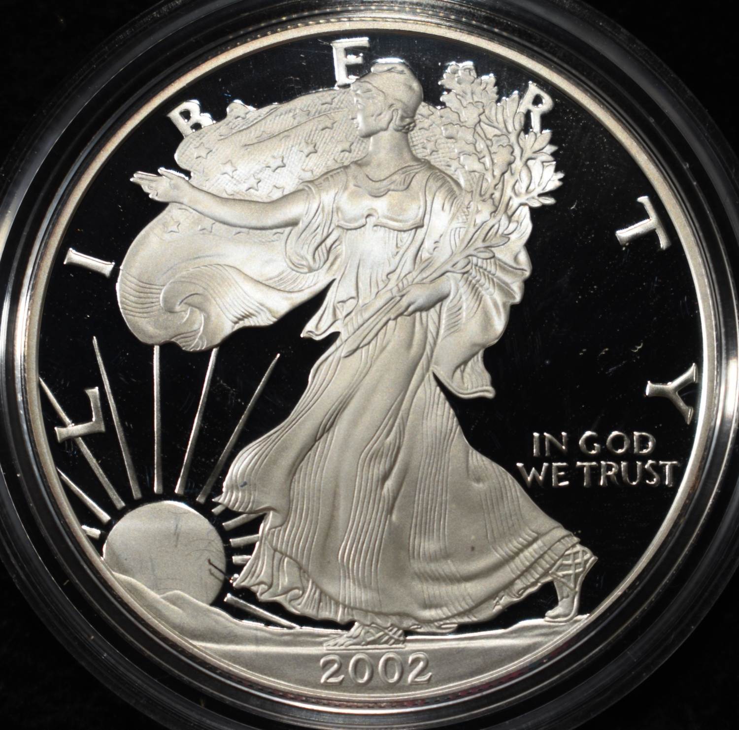 2002-W AMERICAN SILVER EAGLE PROOF