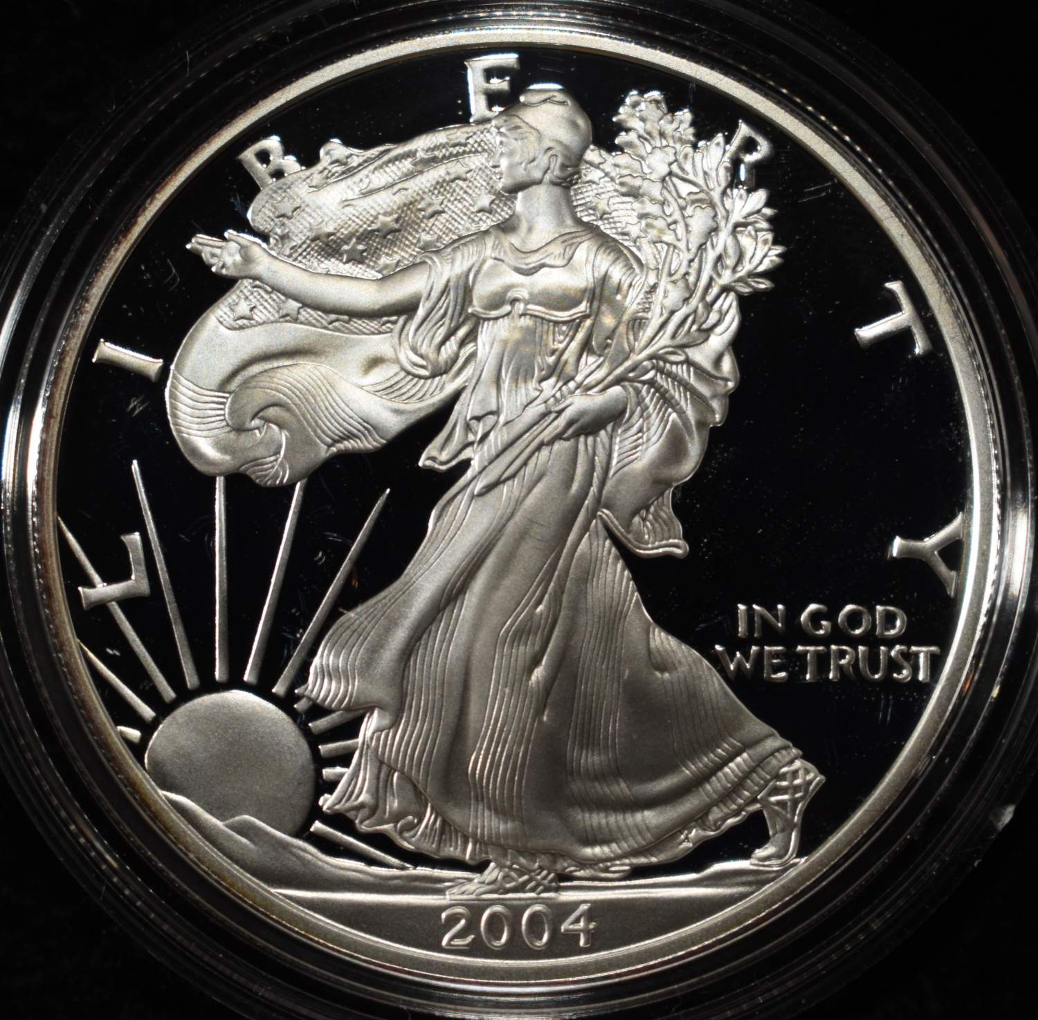 2004-W AMERICAN SILVER EAGLE PROOF