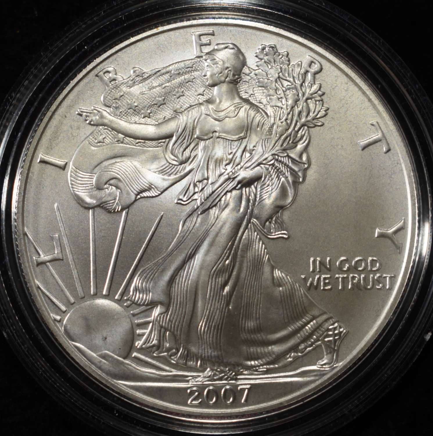 2007-W AMERICAN SILVER EAGLE