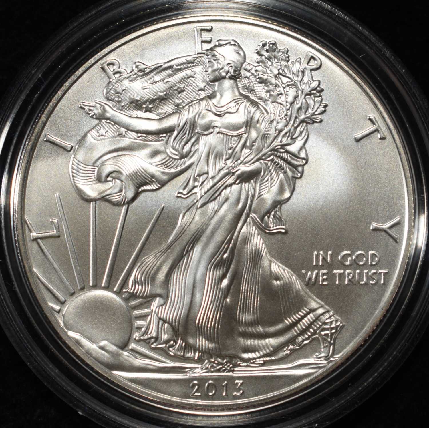 2013-W AMERICAN SILVER EAGLE
