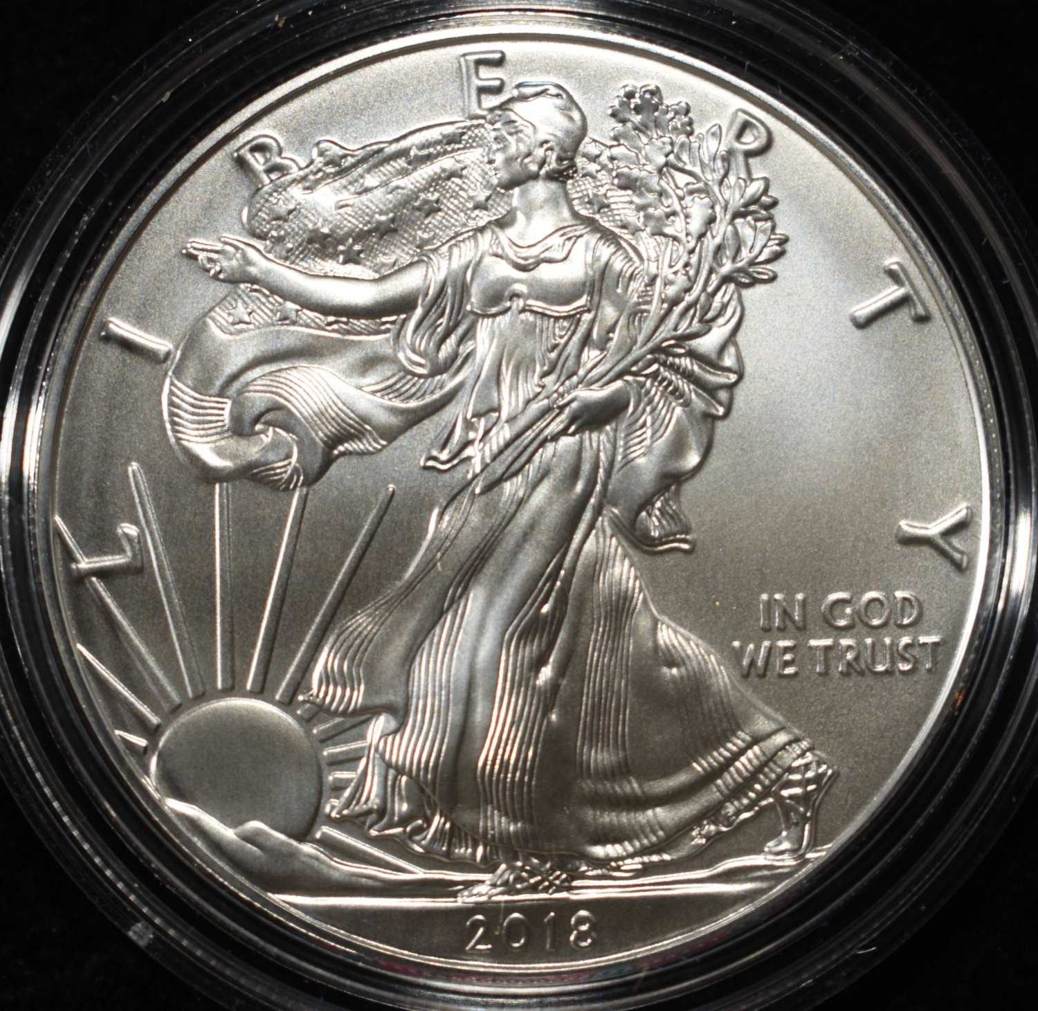 2018-W AMERICAN SILVER EAGLE