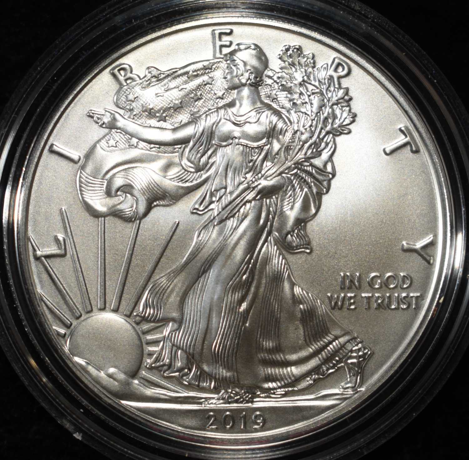 2019-W AMERICAN SILVER EAGLE