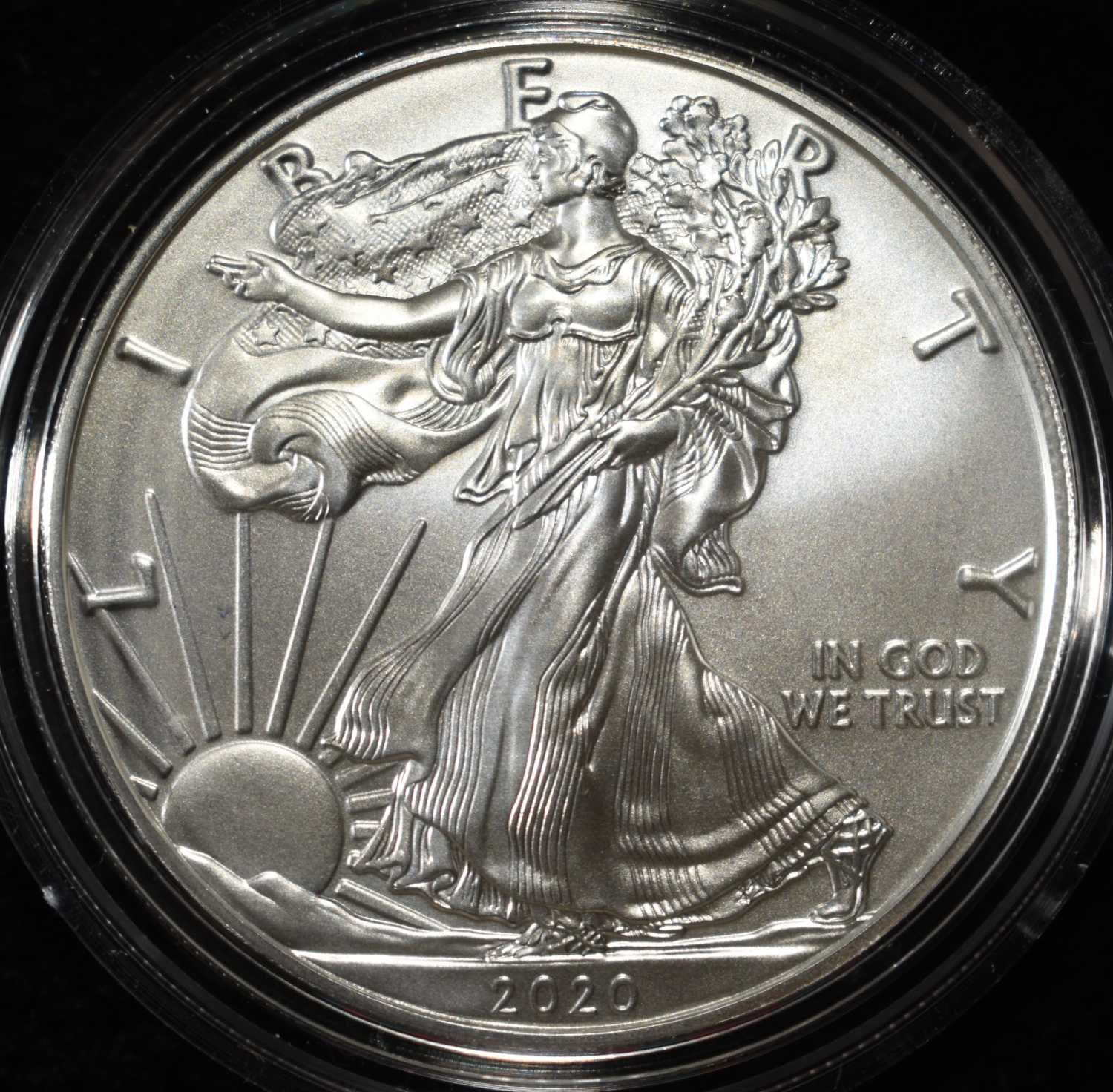 2020-W AMERICAN SILVER EAGLE
