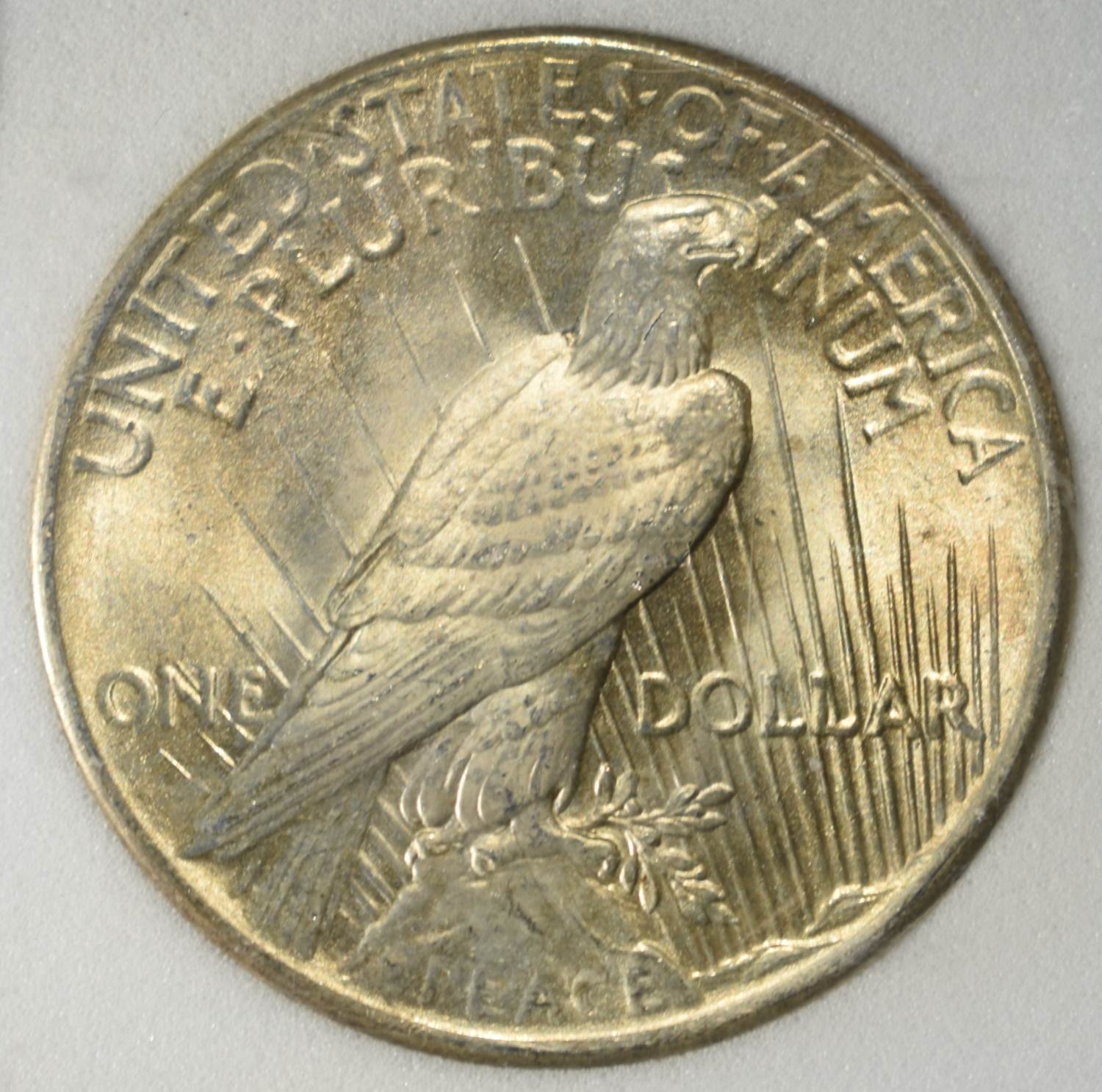 1925 PEACE DOLLAR NNC GEM BU