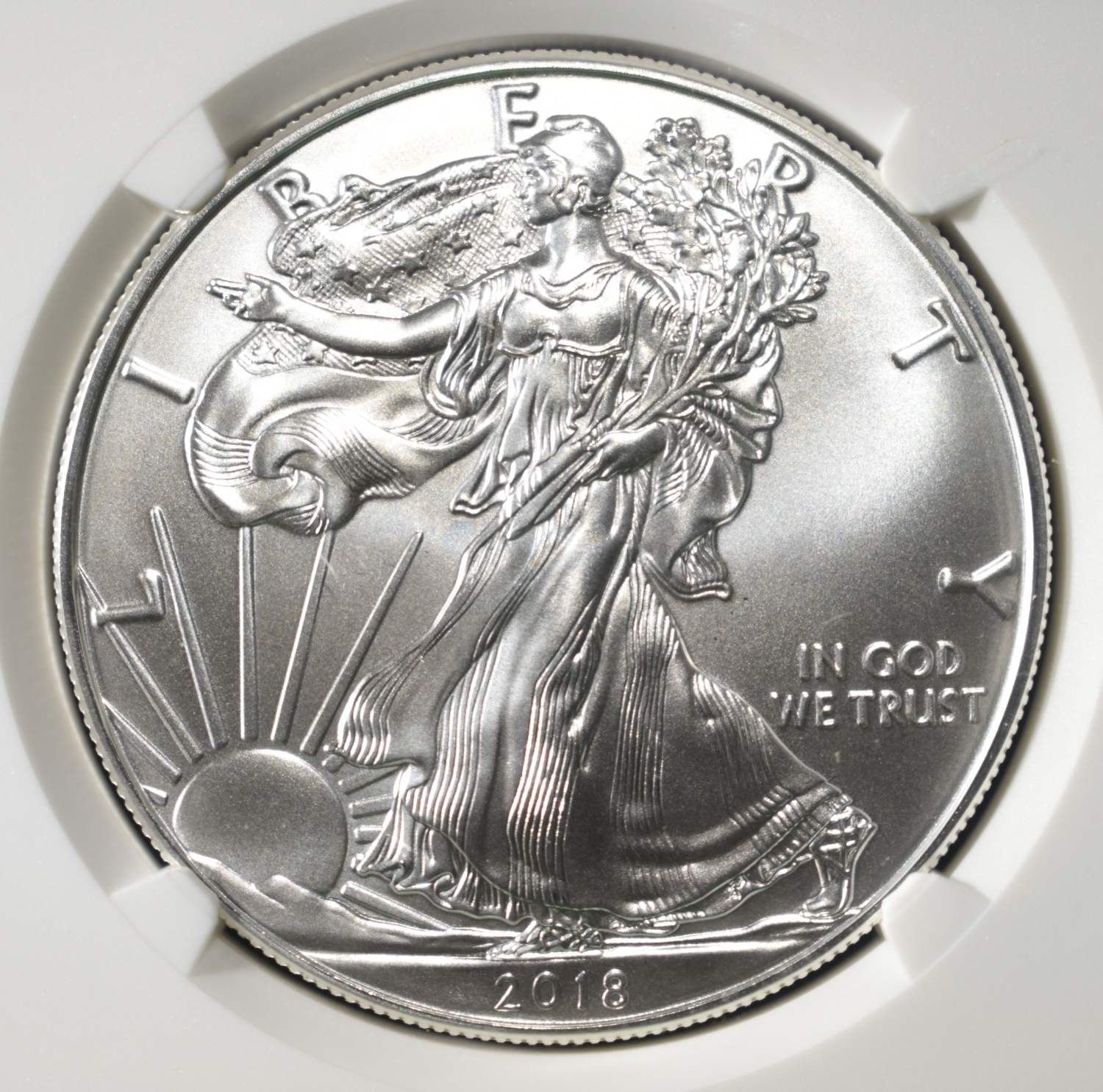 2018 AMERICAN SILVER EAGLE NGC MS69