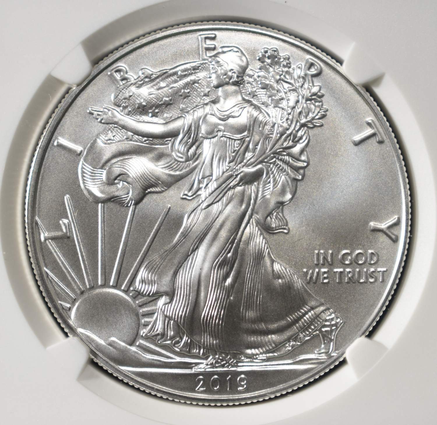 2019 AMERICAN SILVER EAGLE NGC MS69
