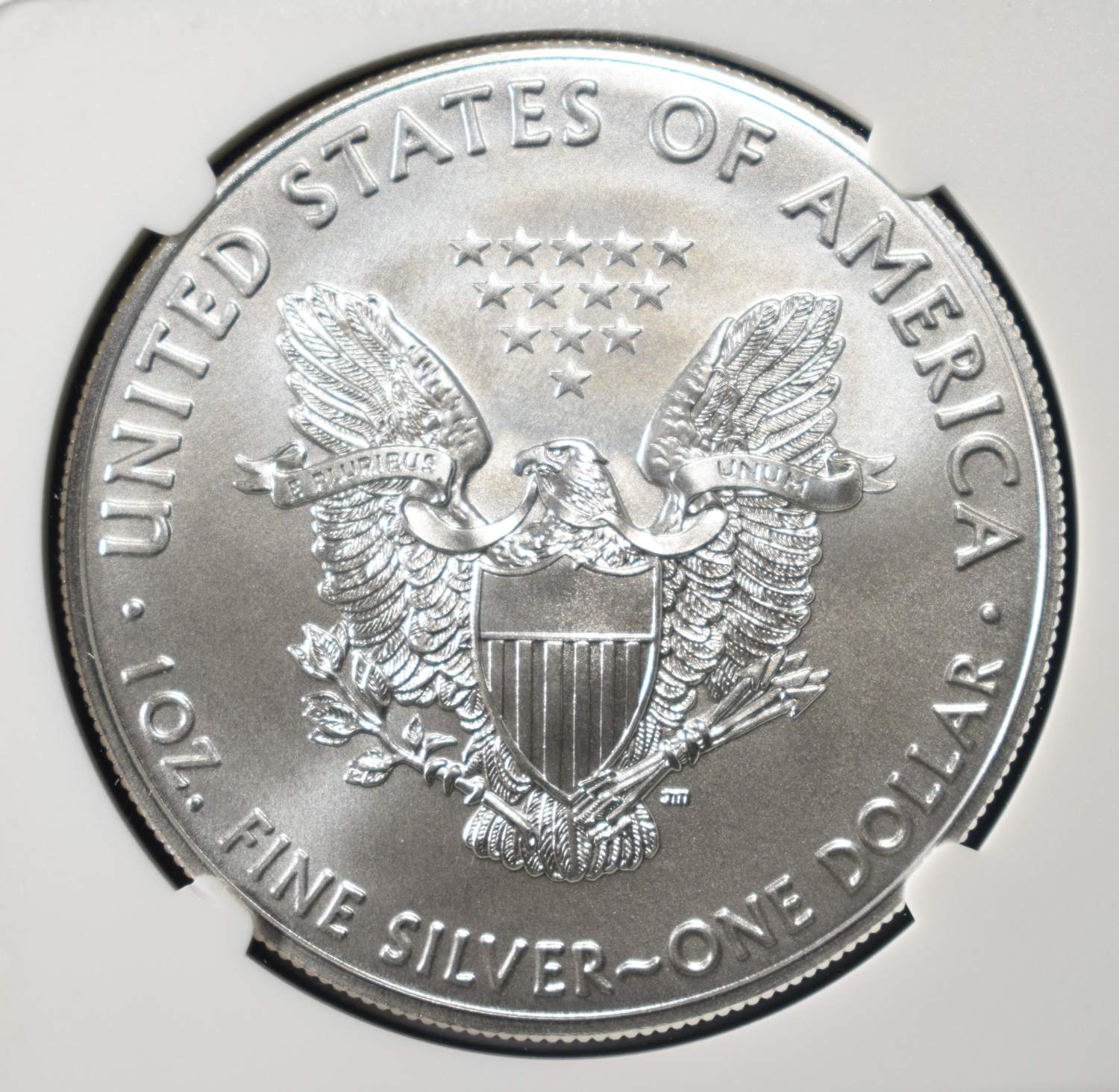 2019 AMERICAN SILVER EAGLE NGC MS69