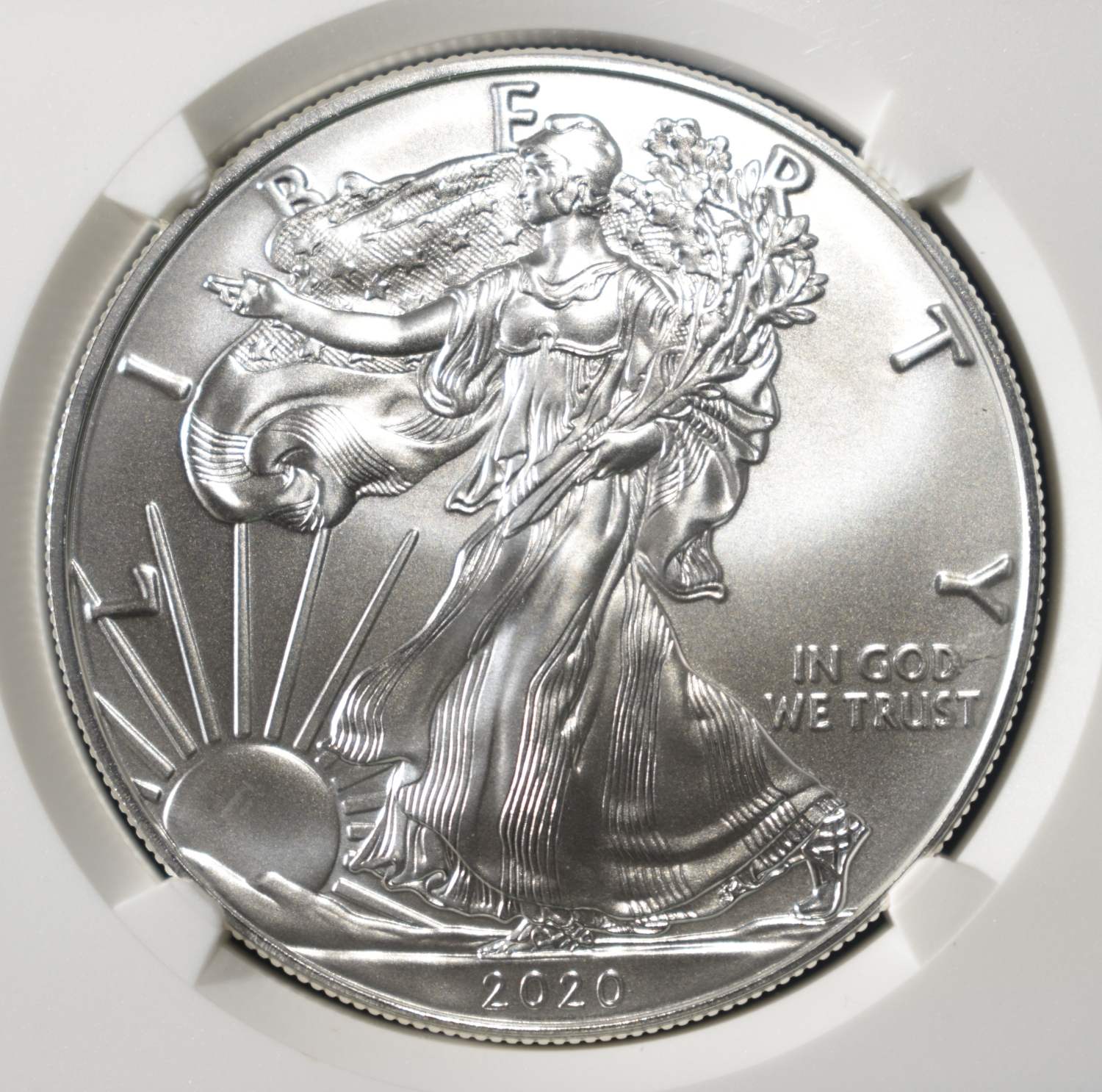 2020 AMERICAN SILVER EAGLE NGC MS69