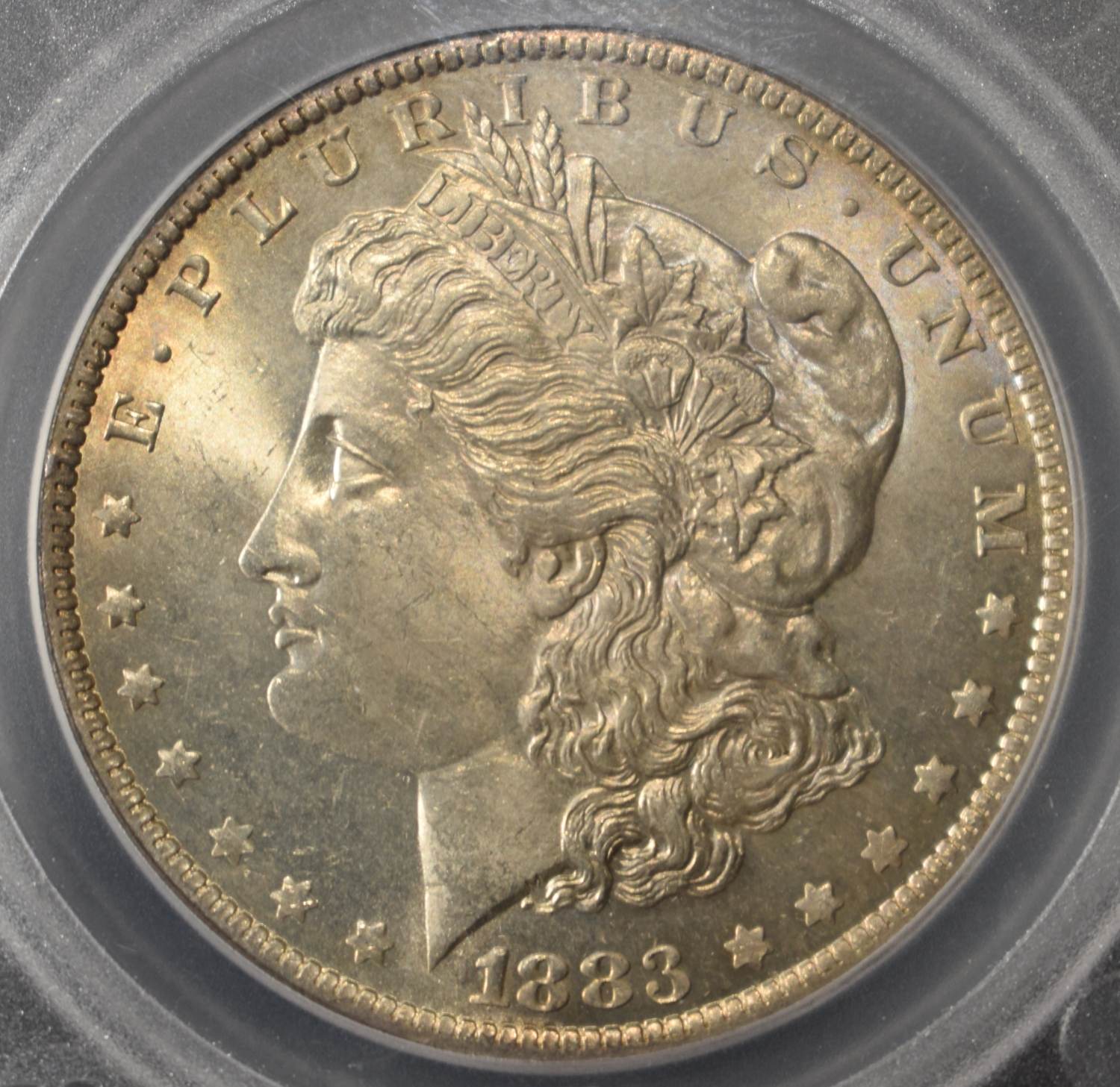 1883-O/O MORGAN DOLLAR SEGS CH/GEM BU VAM 4