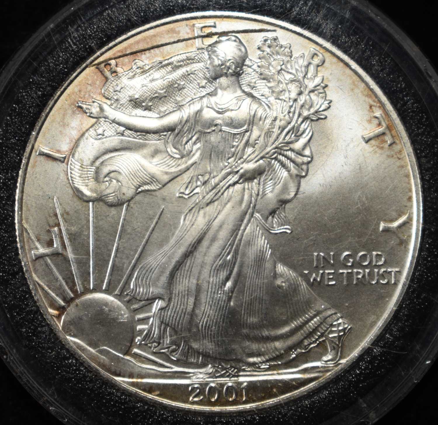 2001 AMERICAN SILVER EAGLE