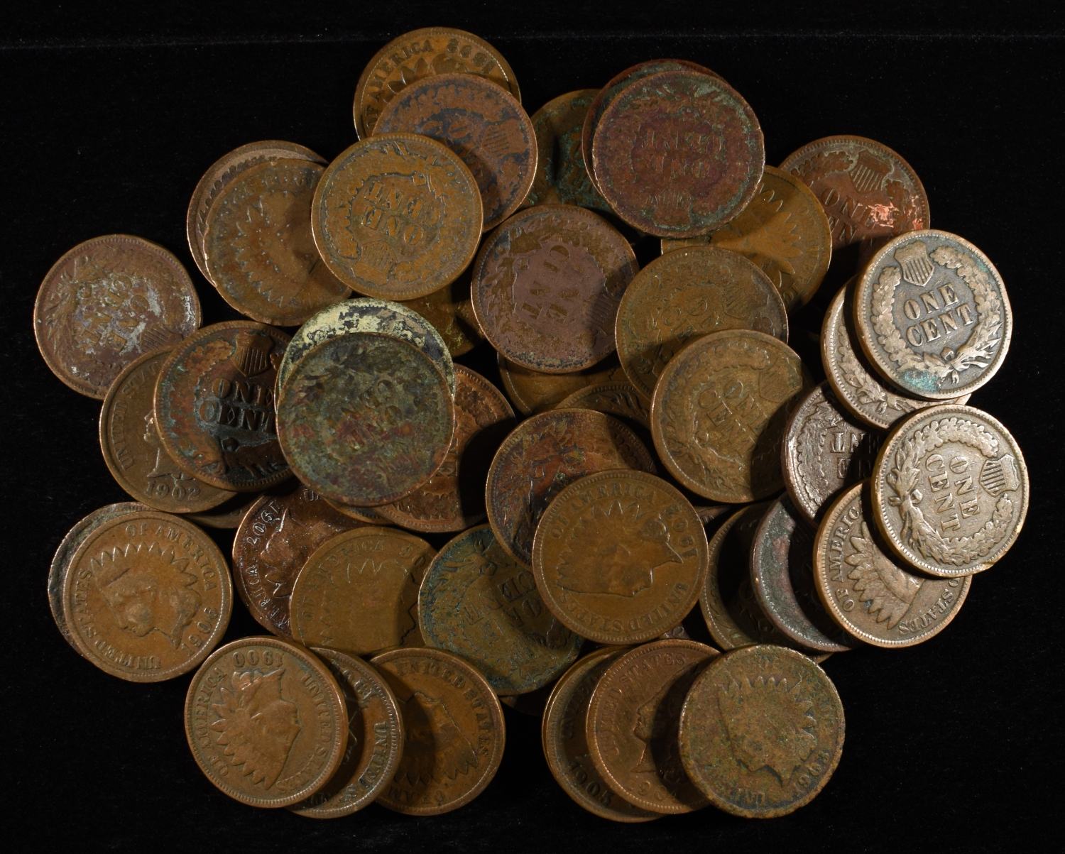 (50) INDIAN CENTS