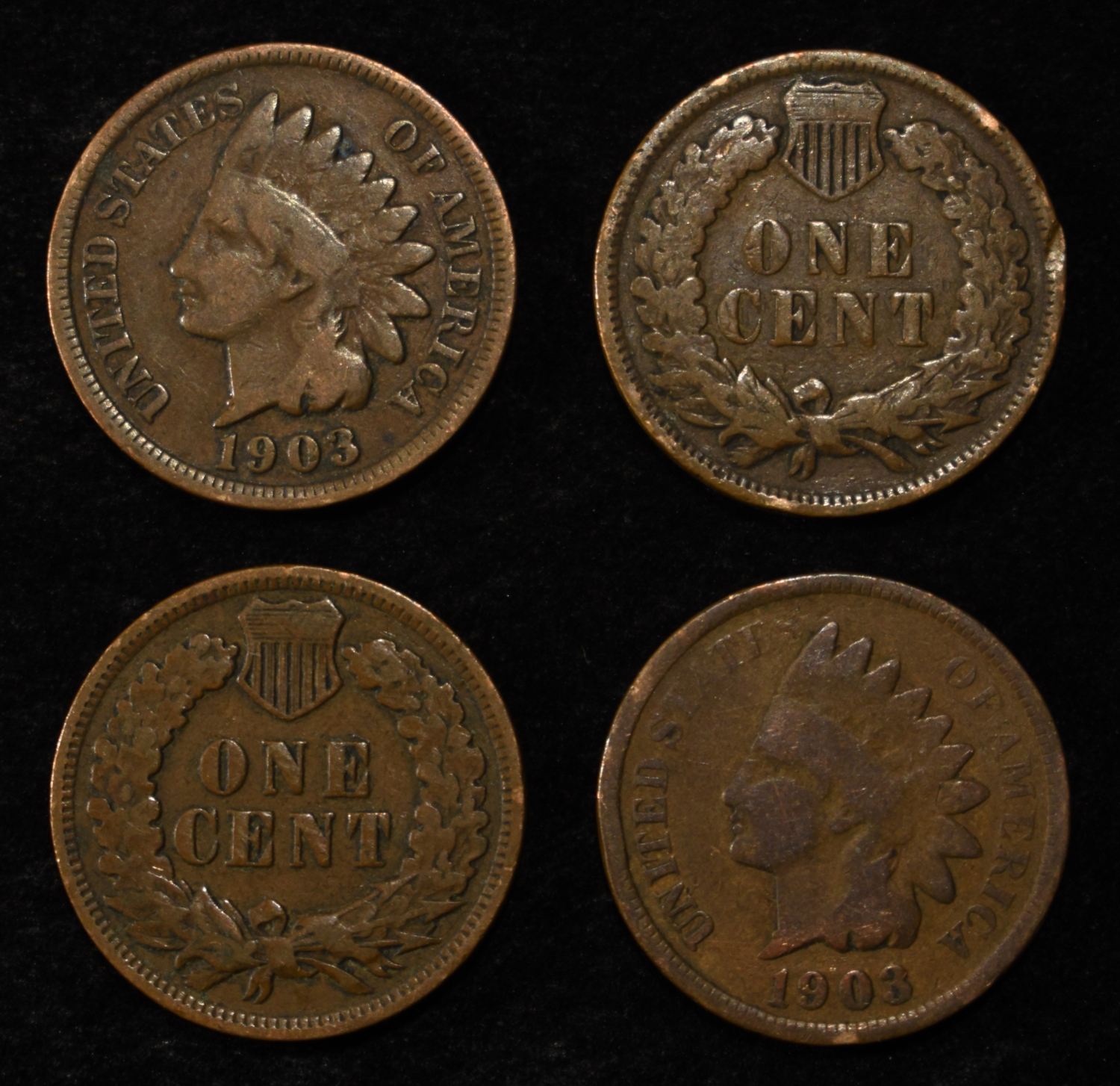 (50) INDIAN CENTS
