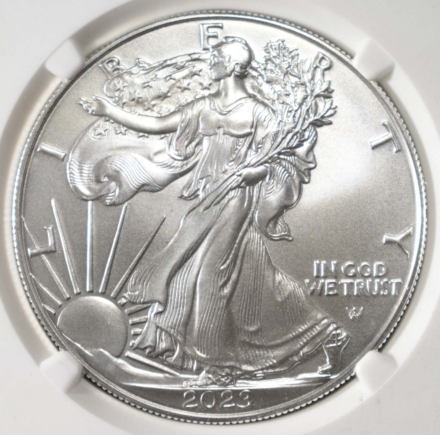 2023-W AMERICAN SILVER EAGLE NGC MS70 FR BURN