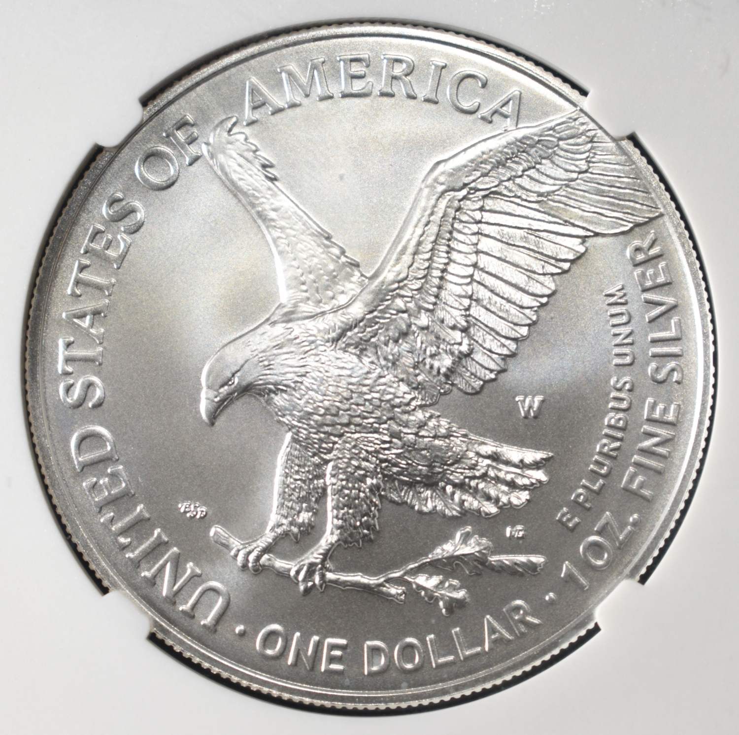 2023-W AMERICAN SILVER EAGLE NGC MS70 FR BURN