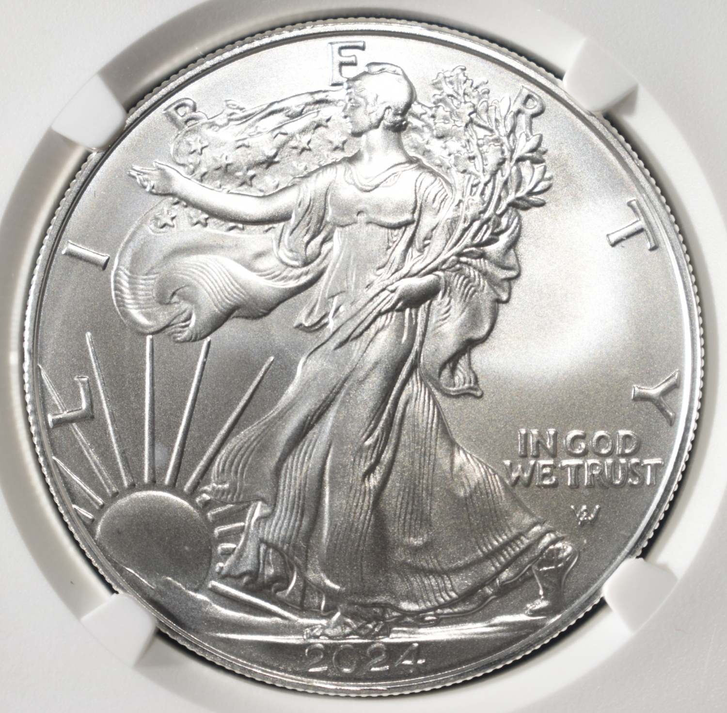 2024 AMERICAN SILVER EAGLE NGC MS70