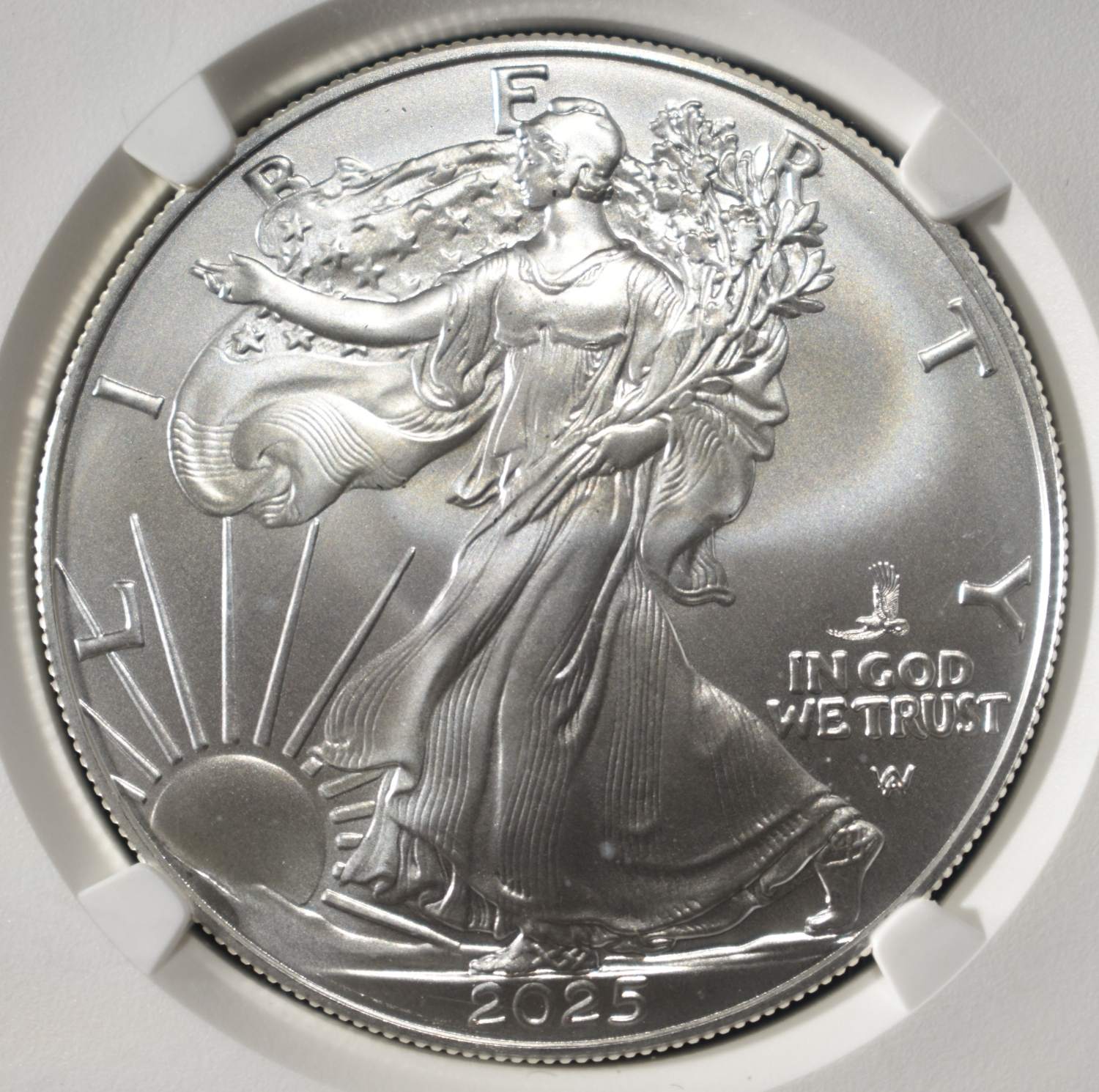 2025(P) AMERICAN SILVER EAGLE NGC MS70
