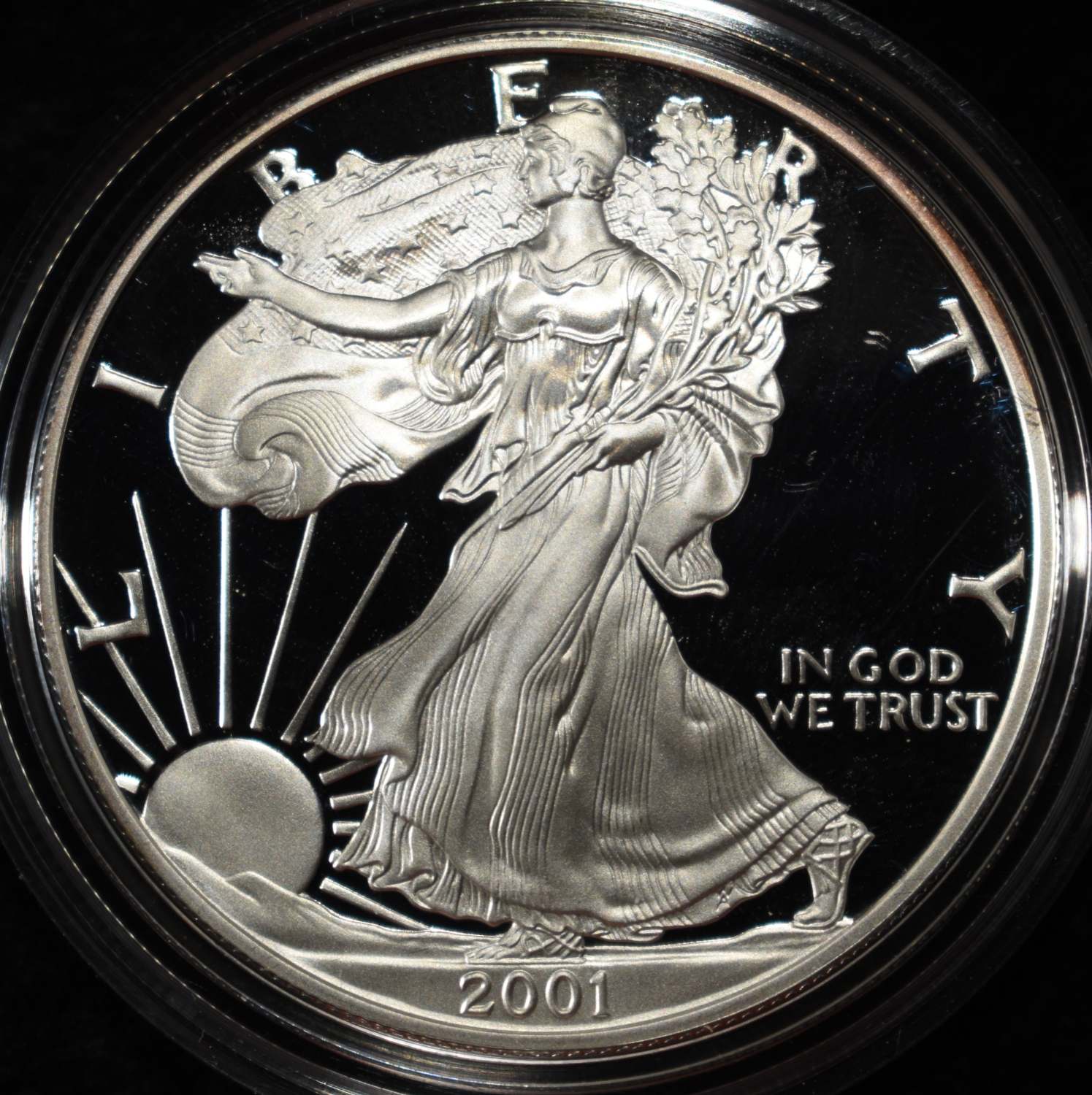 2001-W AMERICAN SILVER EAGLE PROOF