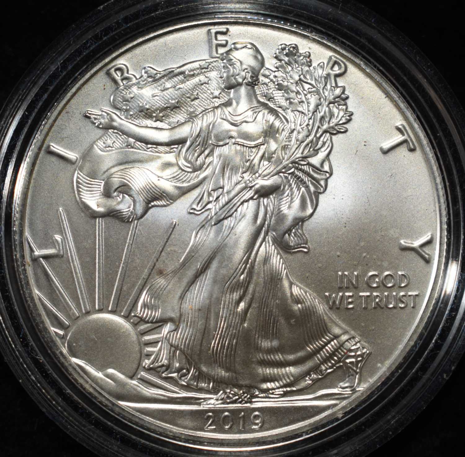 2019-W AMERICAN SILVER EAGLE