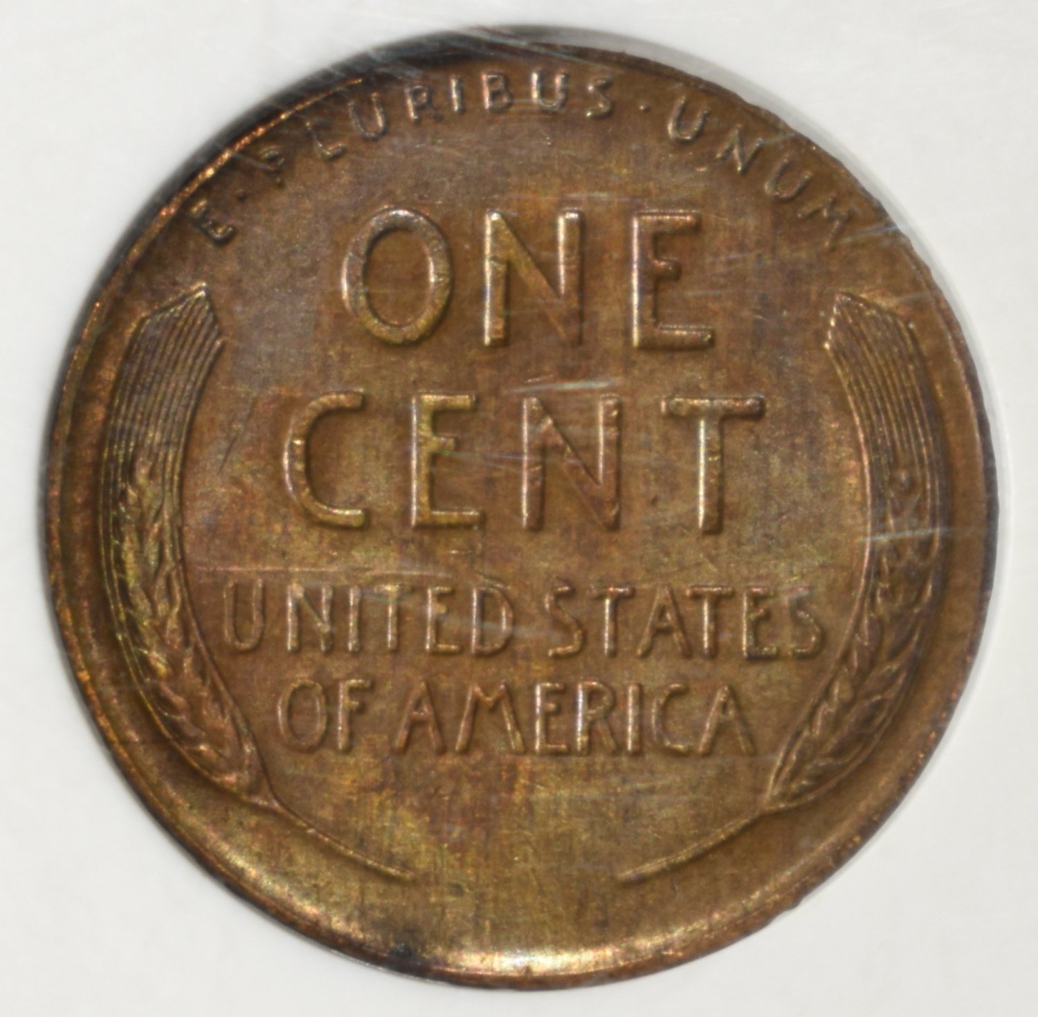 1955 DDO WHEAT CENT ANACS AU CLEANED
