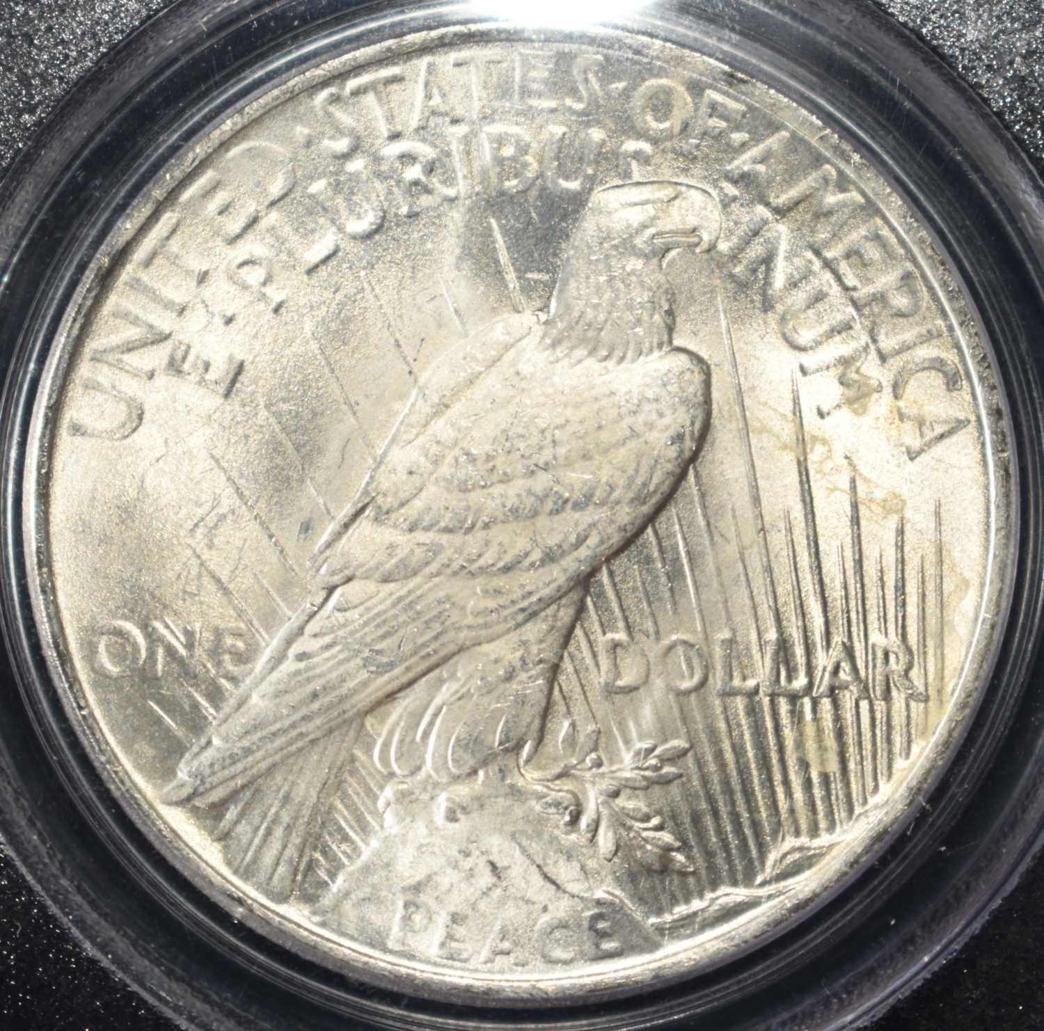 1923 PEACE DOLLAR PCGS MS63