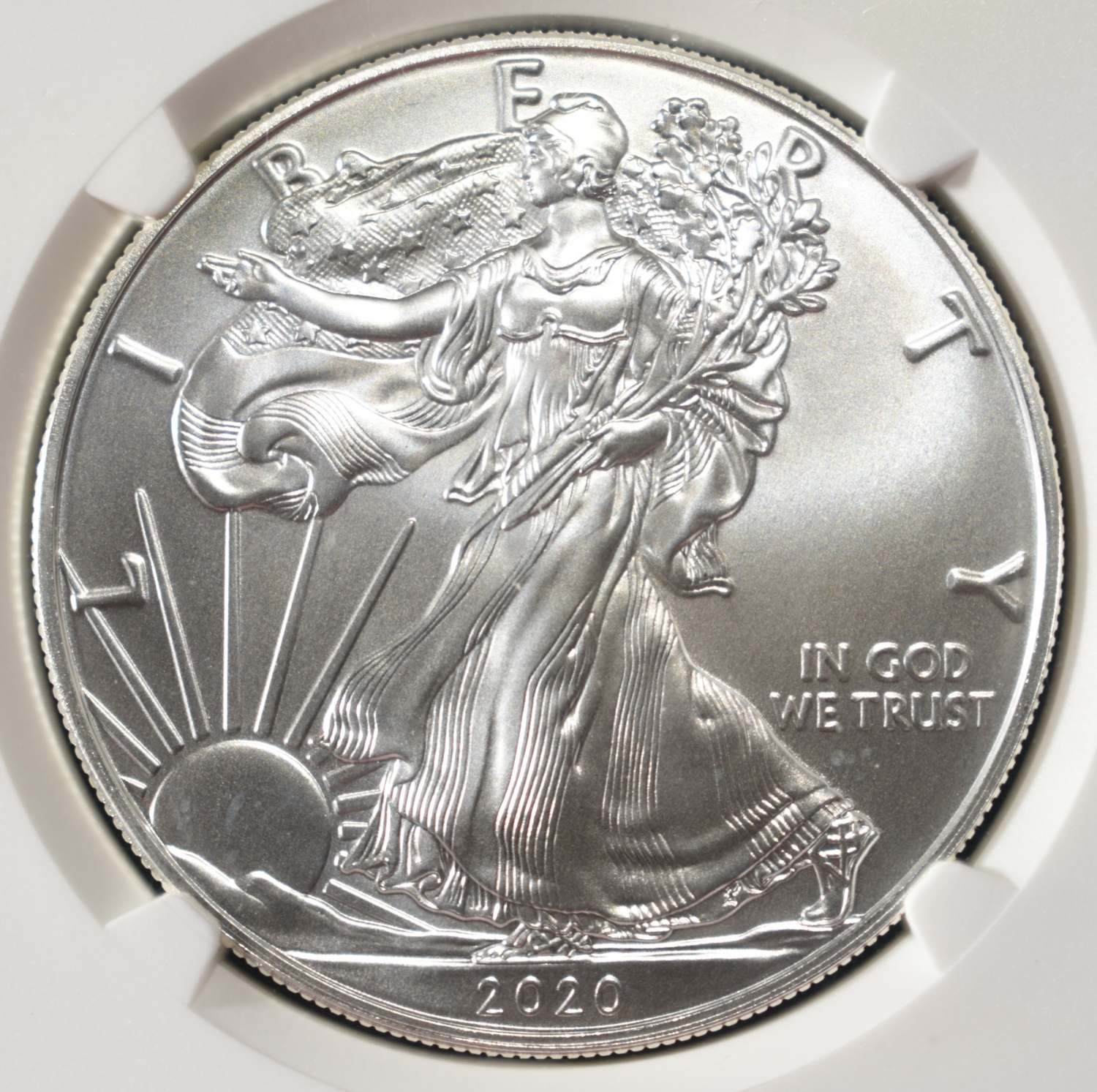2020(P) AMERICAN SILVER EAGLE NGC MS69