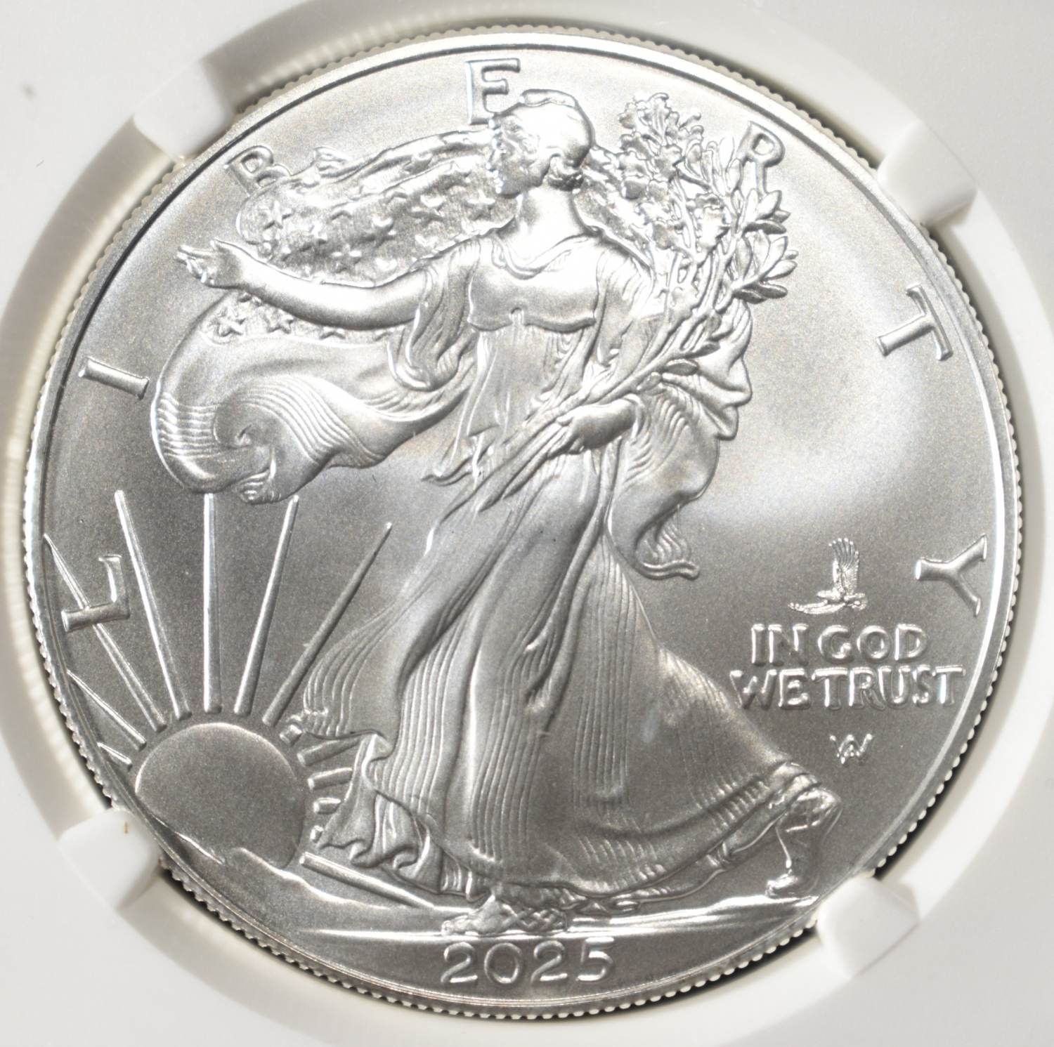 2025(P) AMERICAN SILVER EAGLE NGC MS70