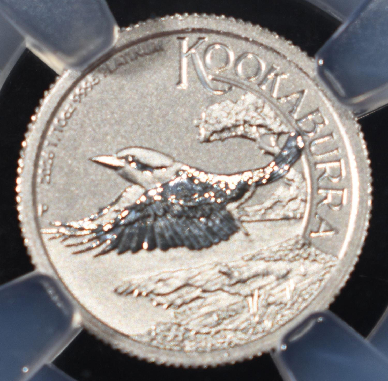 2026-P AUSTRALIA 1/10 PLATINUM KOOKABURRA NGC MS70