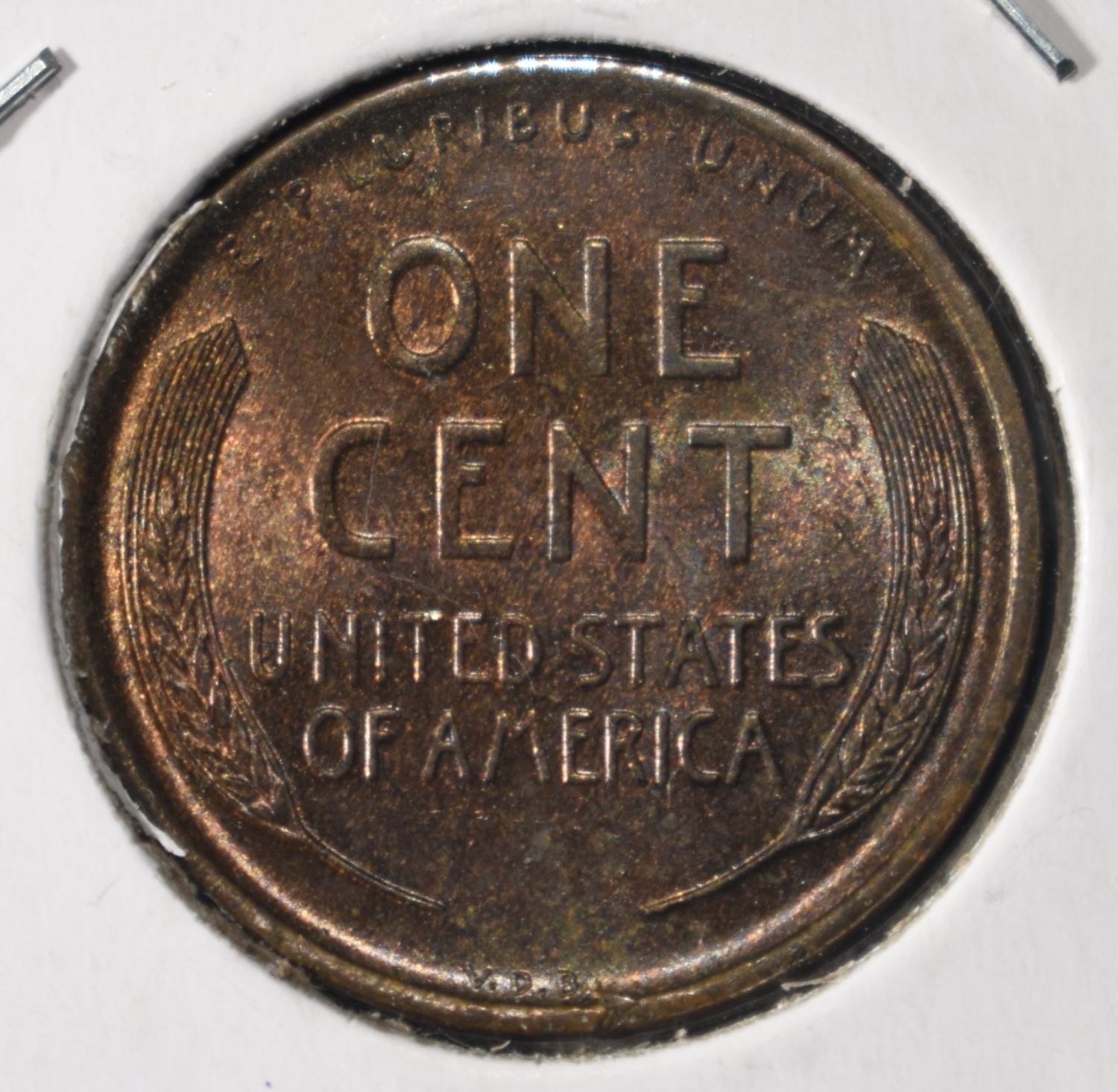 1909 VDB RB WHEAT CENT