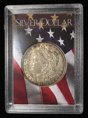 1883 MORGAN DOLLAR. LEADERS IN ON-LINE AUCTIONS ESTIMATE $75 - $100.