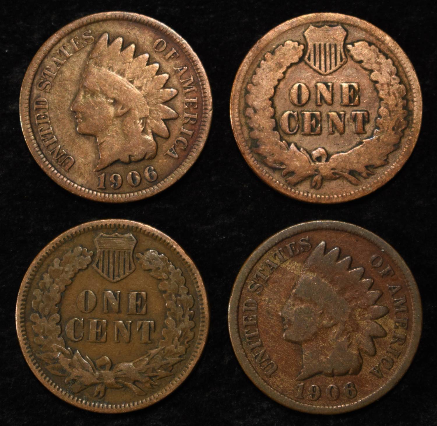 (50) INDIAN CENTS