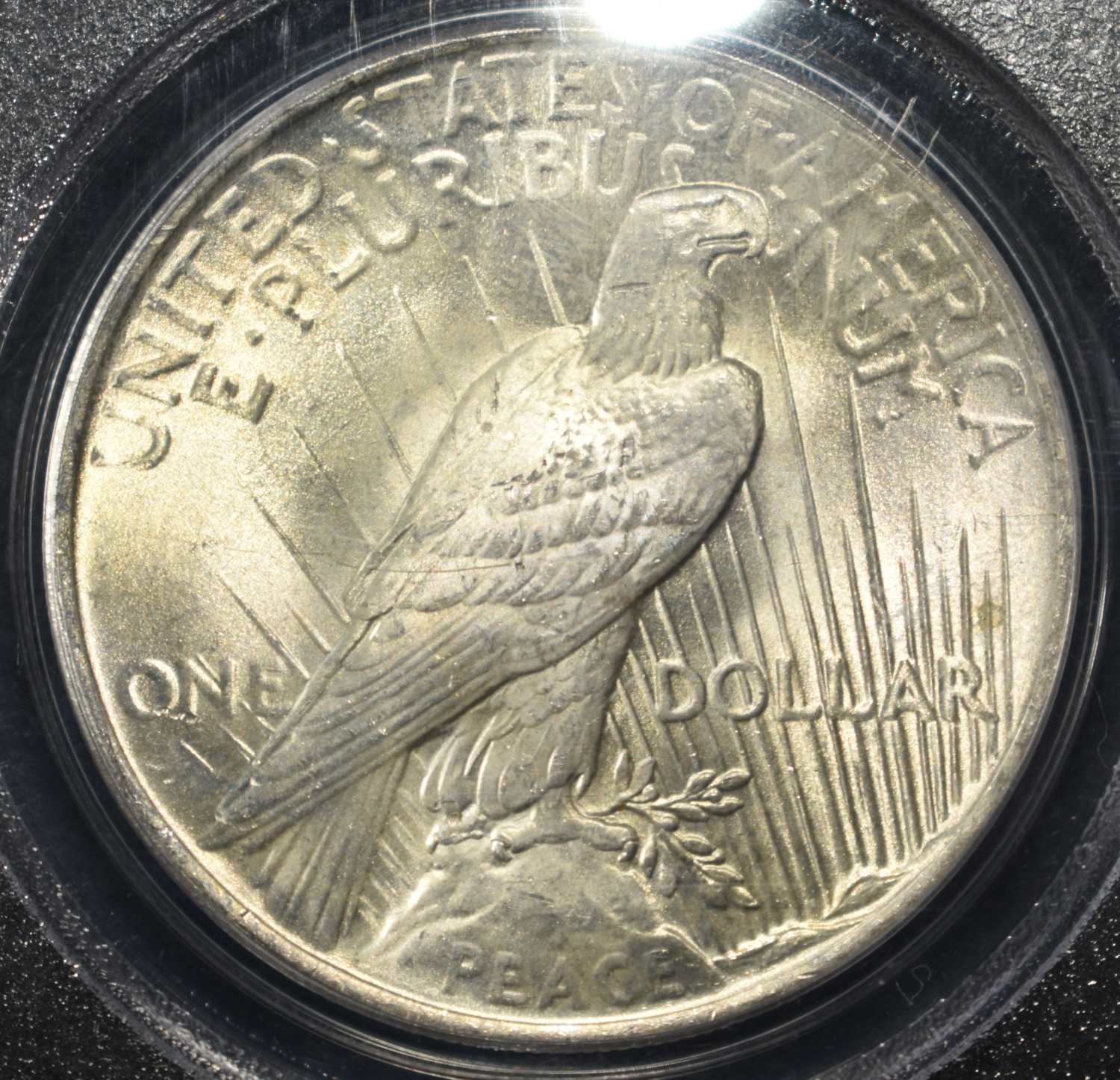 1923 PEACE DOLLAR PCGS MS63