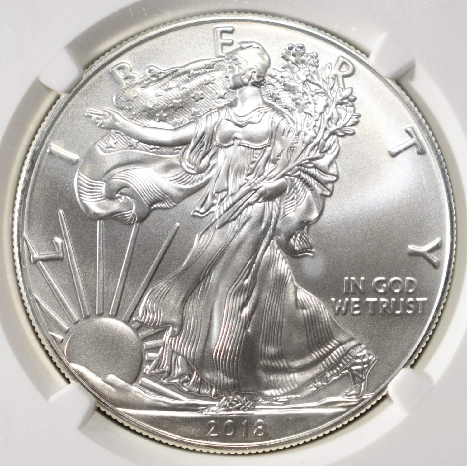 2018 AMERICAN SILVER EAGLE NGC MS69