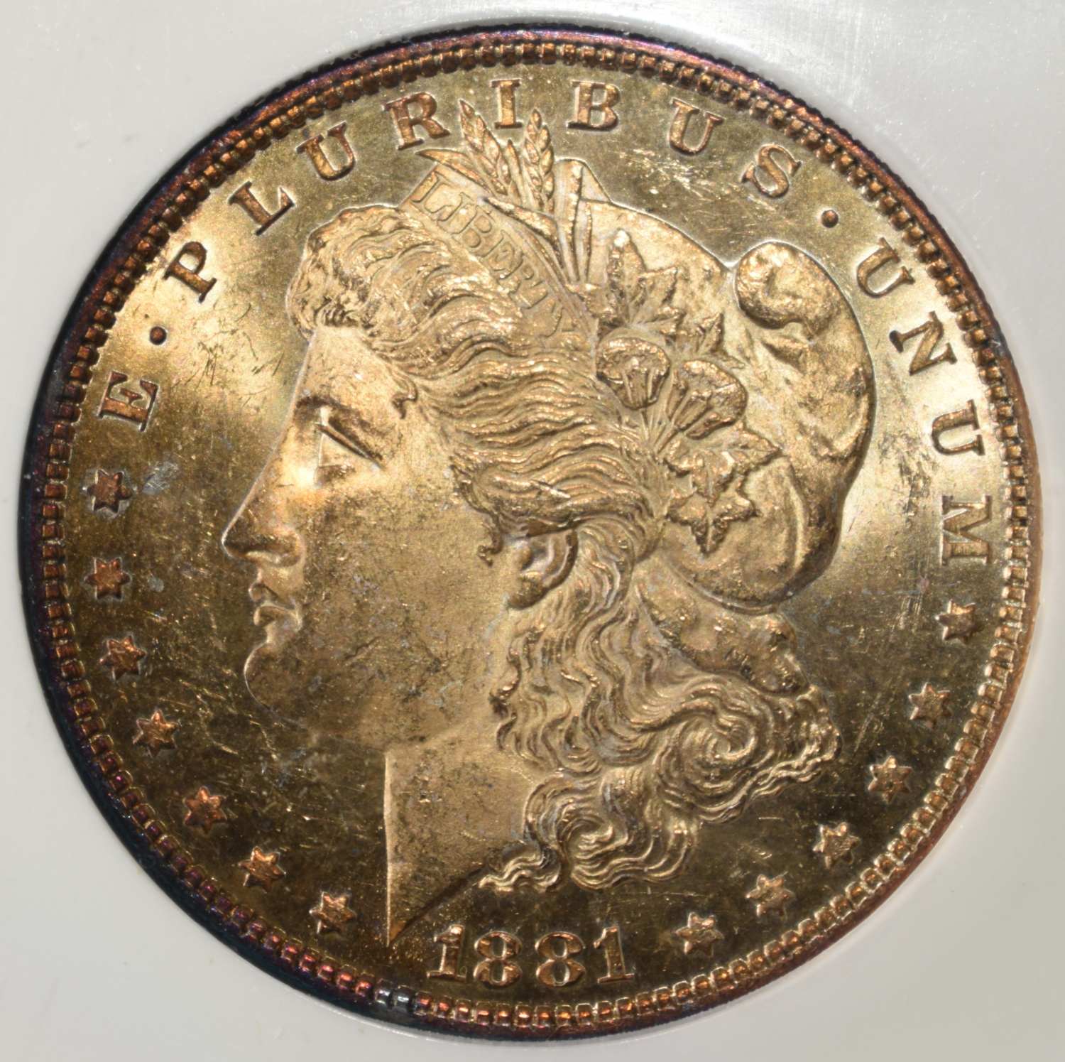 1881 MORGAN DOLLAR PCI SUPERB GEM BU DMPL
