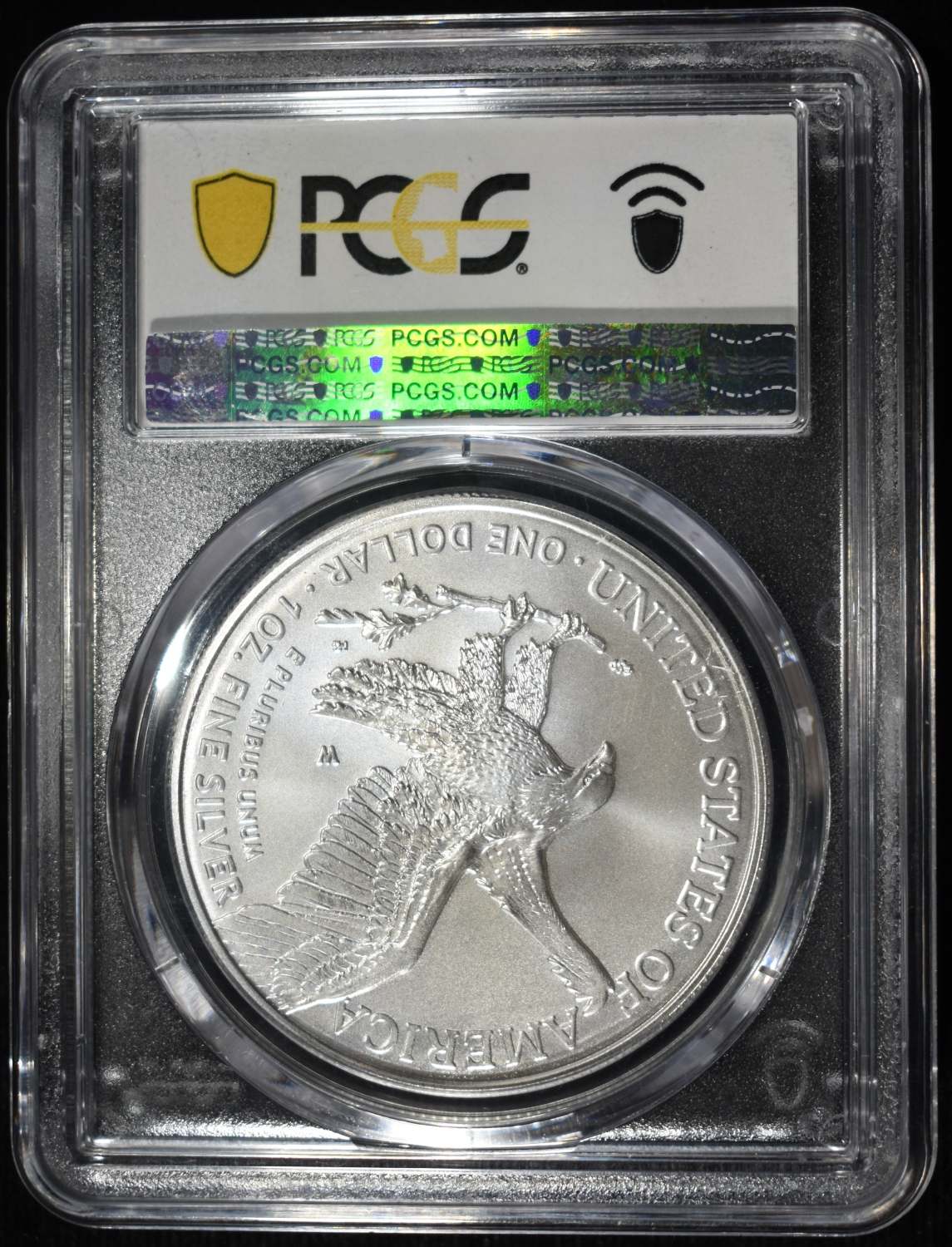 2025-W AMERICAN SILVER EAGLE PCGS SP70 BURN. AR