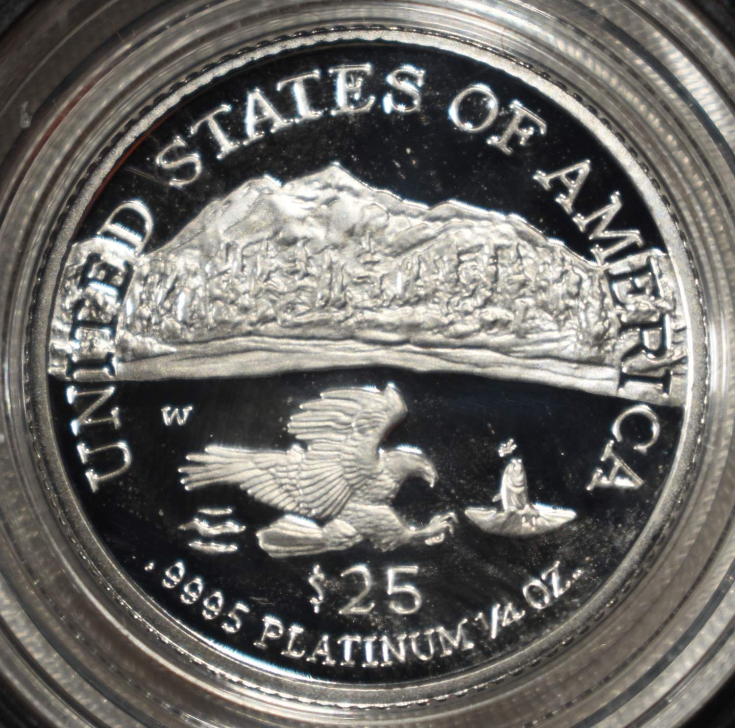 2002-W 1/4TH OZ AMERICAN PLATINUM EAGLE