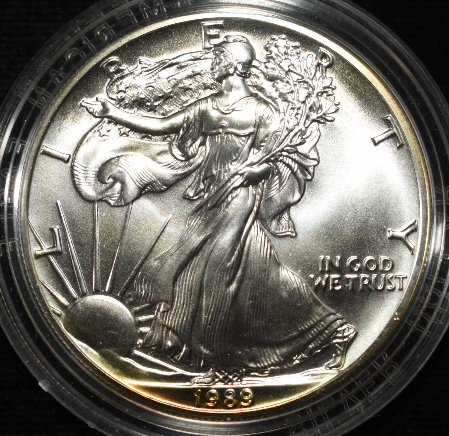1989 AMERICAN SILVER EAGLE PROOF