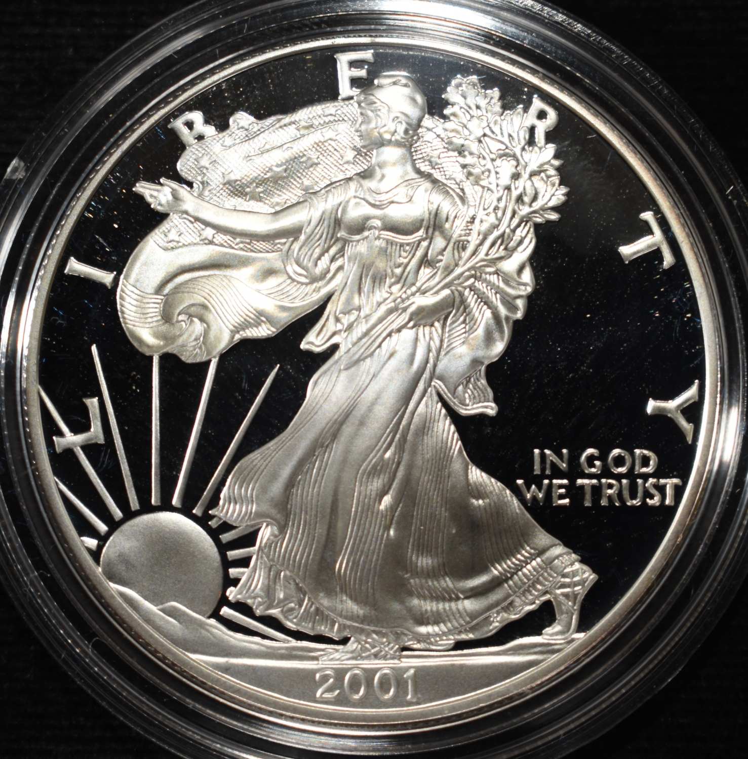 2001-W AMERICAN SILVER EAGLE PROOF